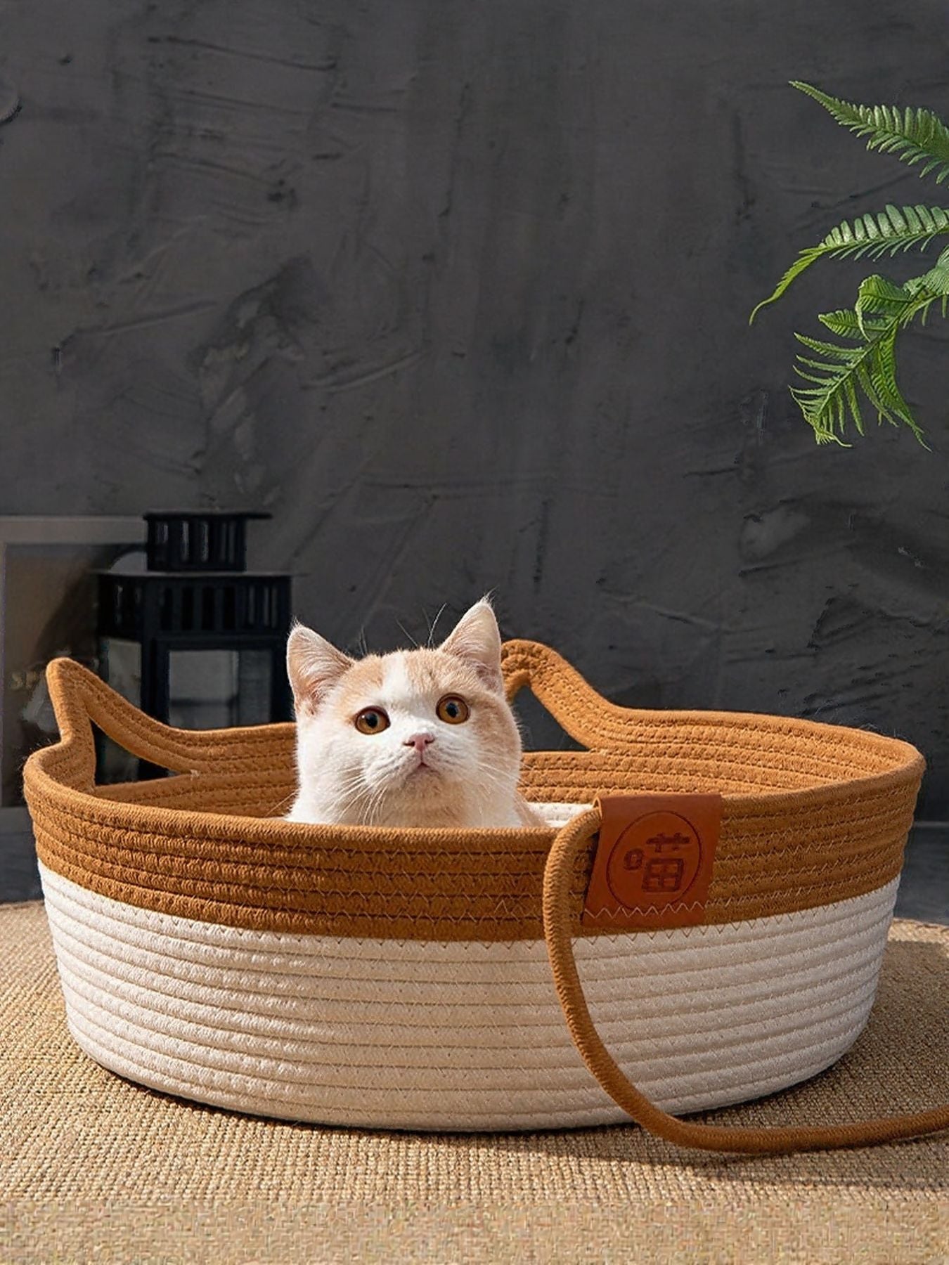 Cat Ear Woven Pet Nest - Loving It Shop