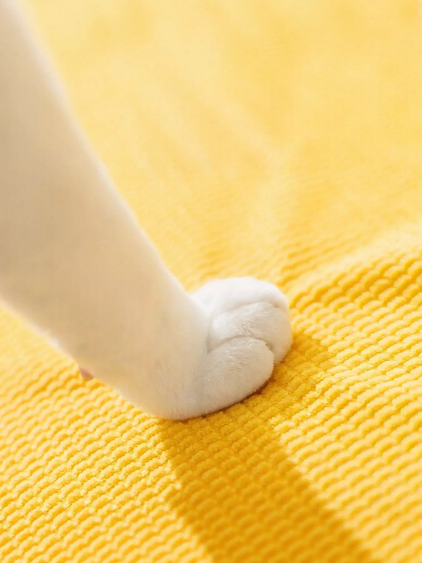 Soft Pet Stairs - Loving It Shop