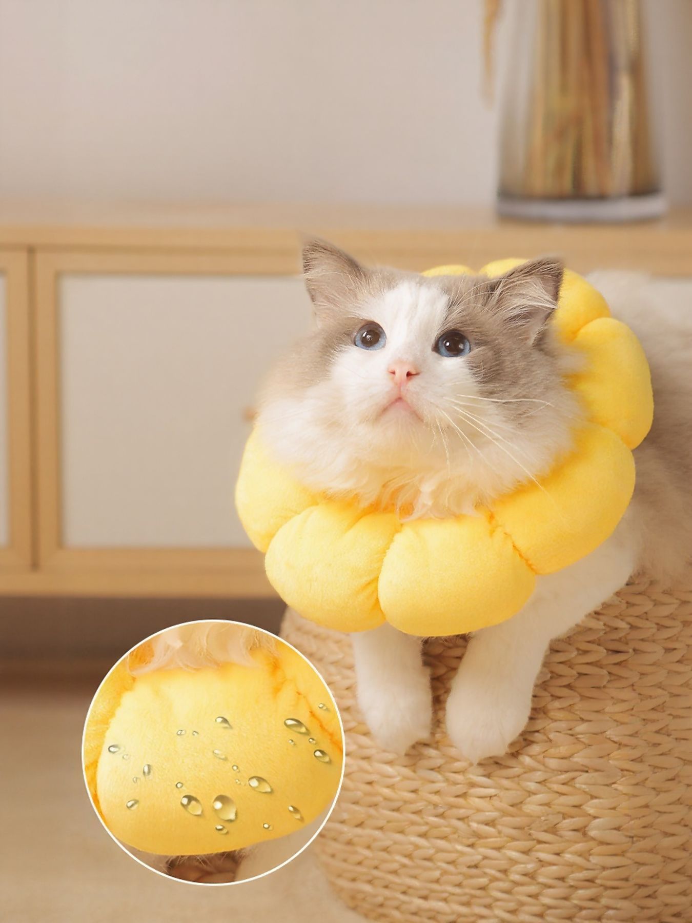 Sunflower Protective Pet Collar - Loving It Shop