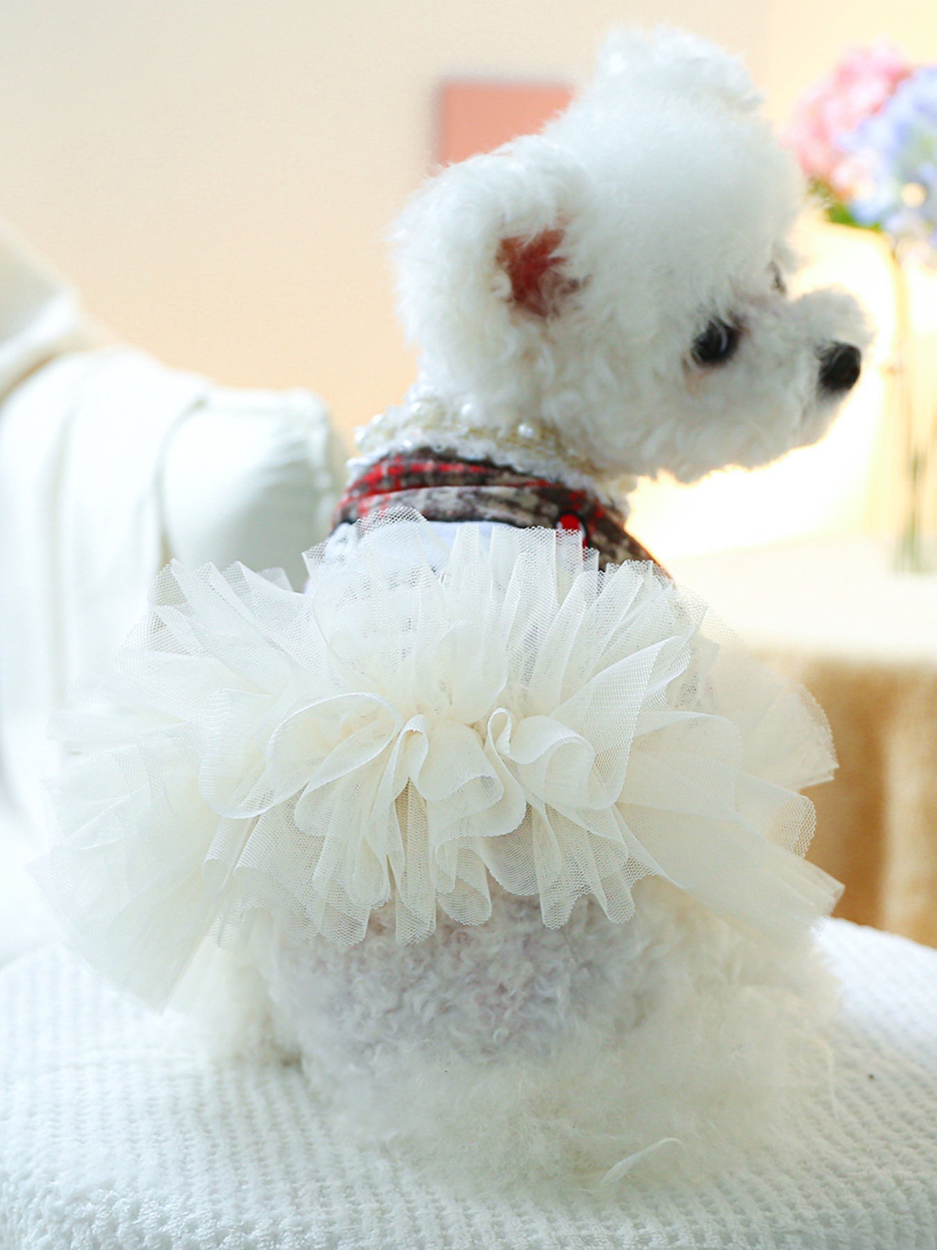 Pearl Collar Pet Dress - Loving It Shop