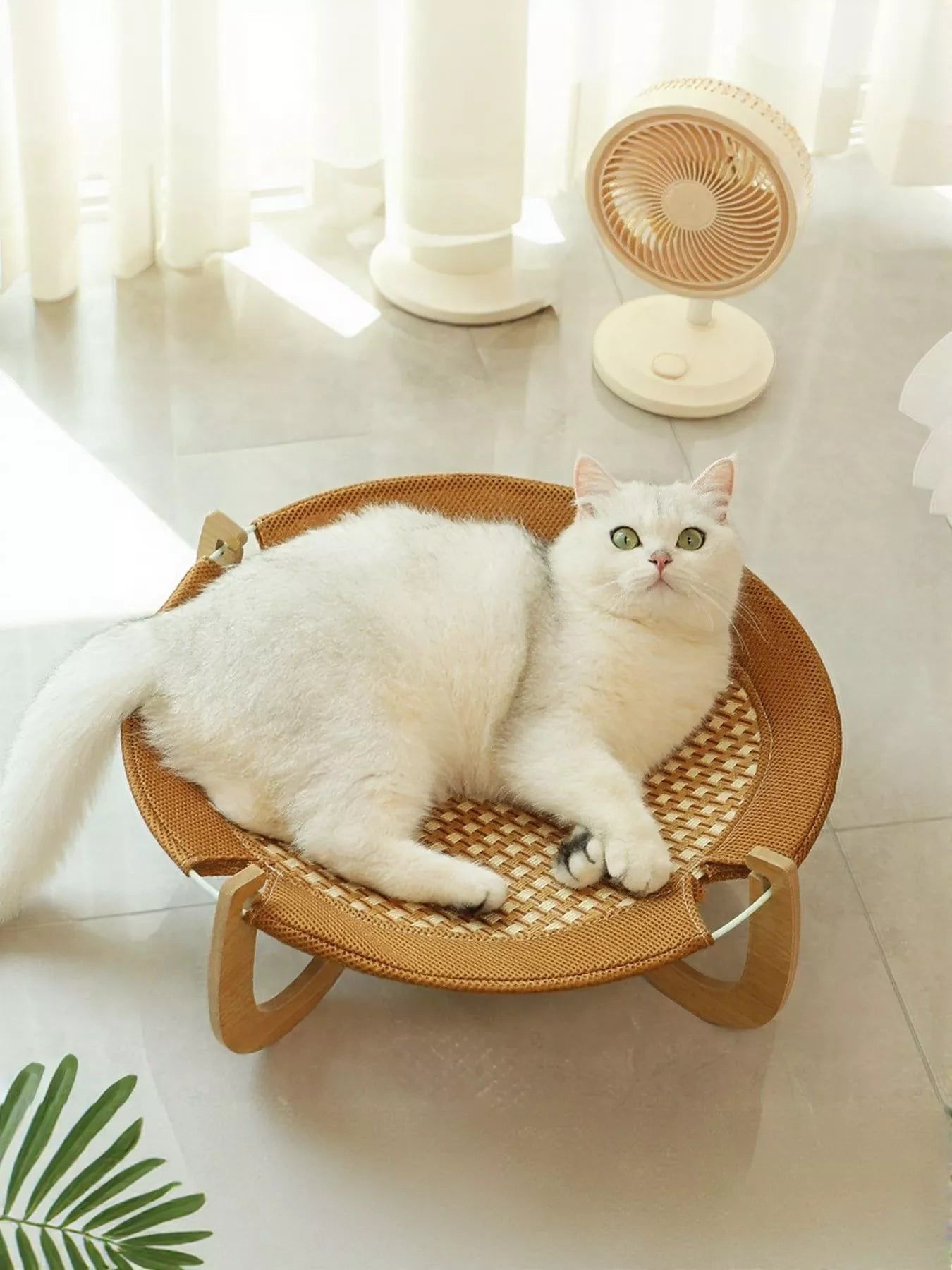 Round Woven Elevated Pet Bed - Loving It Shop