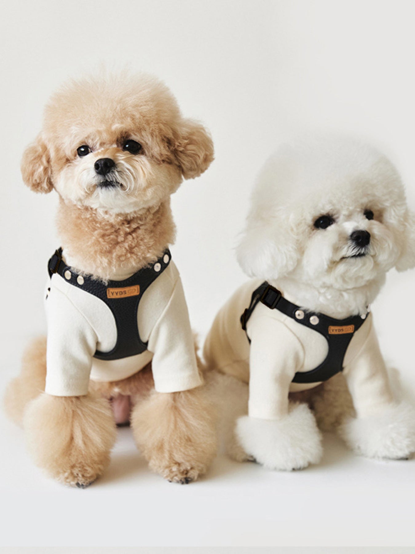 Rivet - Decorated Dog Harness Leash Set - Loving It Shop