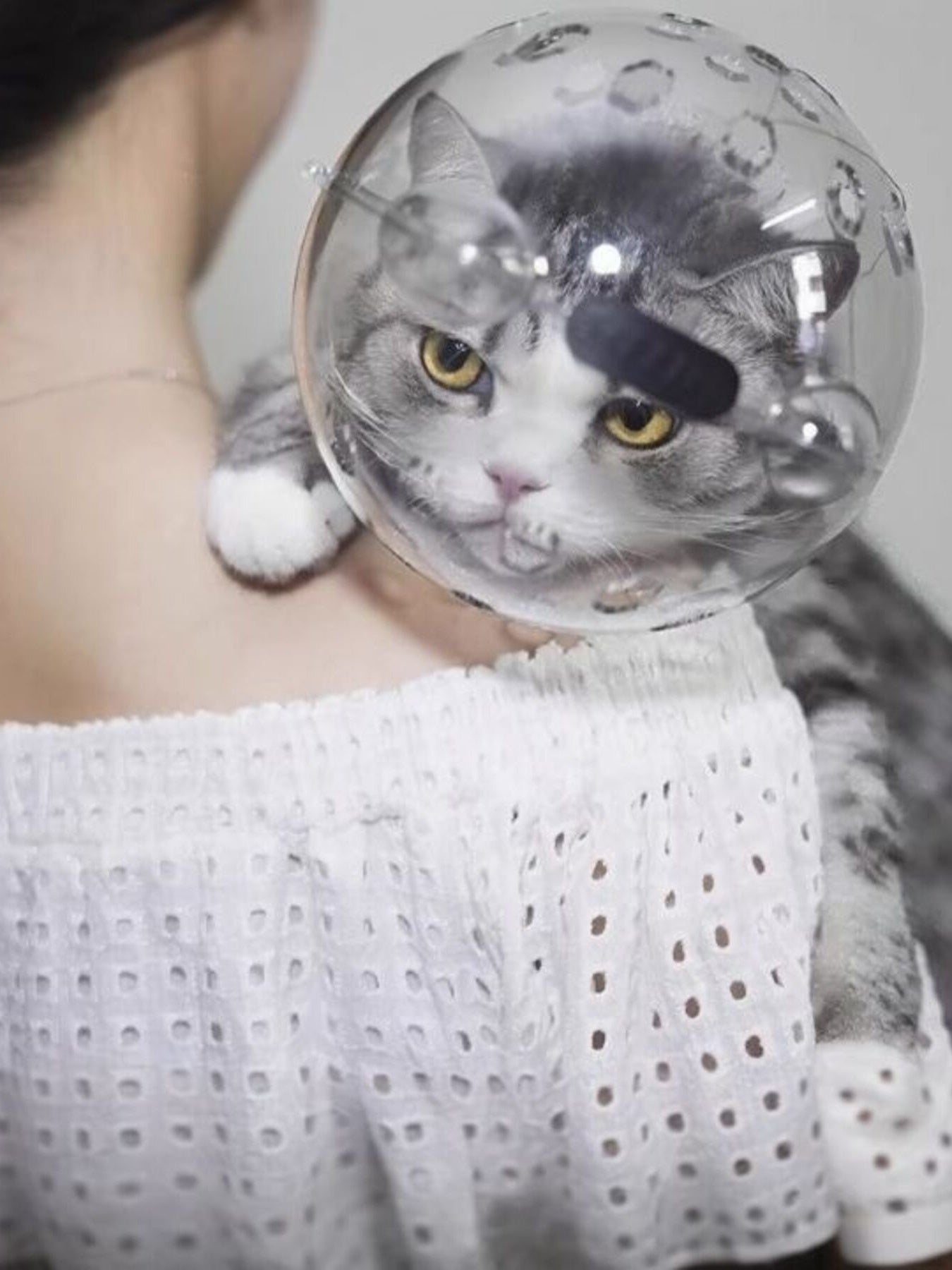 Transparent Anti - Bite Pet Spherical Head Cover - Loving It Shop