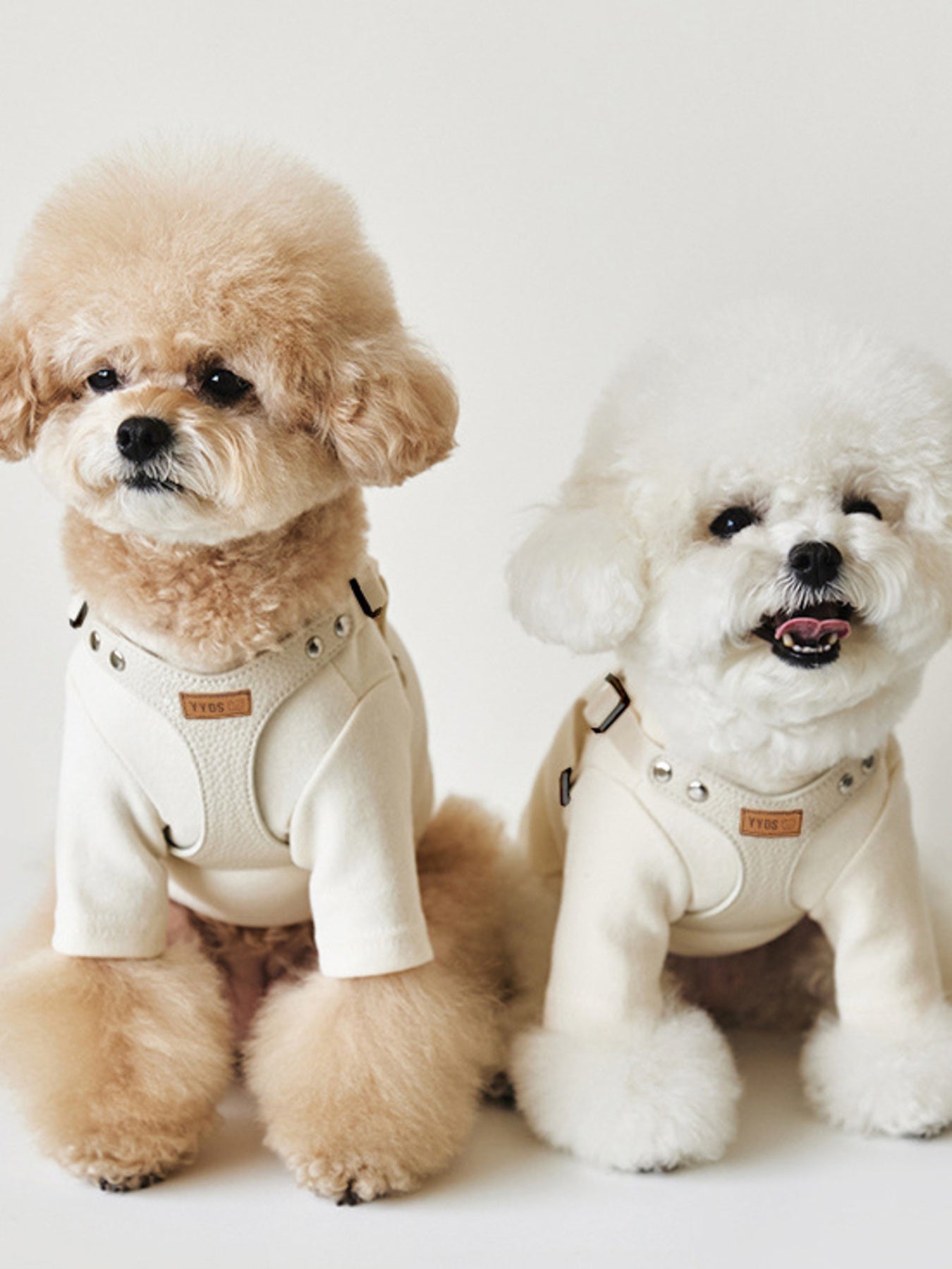 Rivet - Decorated Dog Harness Leash Set - Loving It Shop