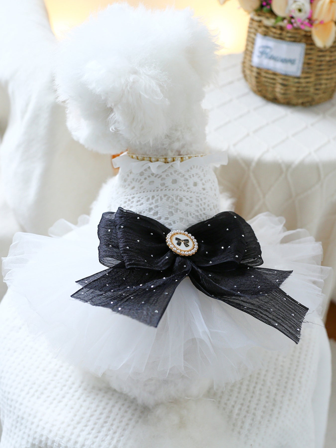 Ruffled Lace Pet Dress - Loving It Shop