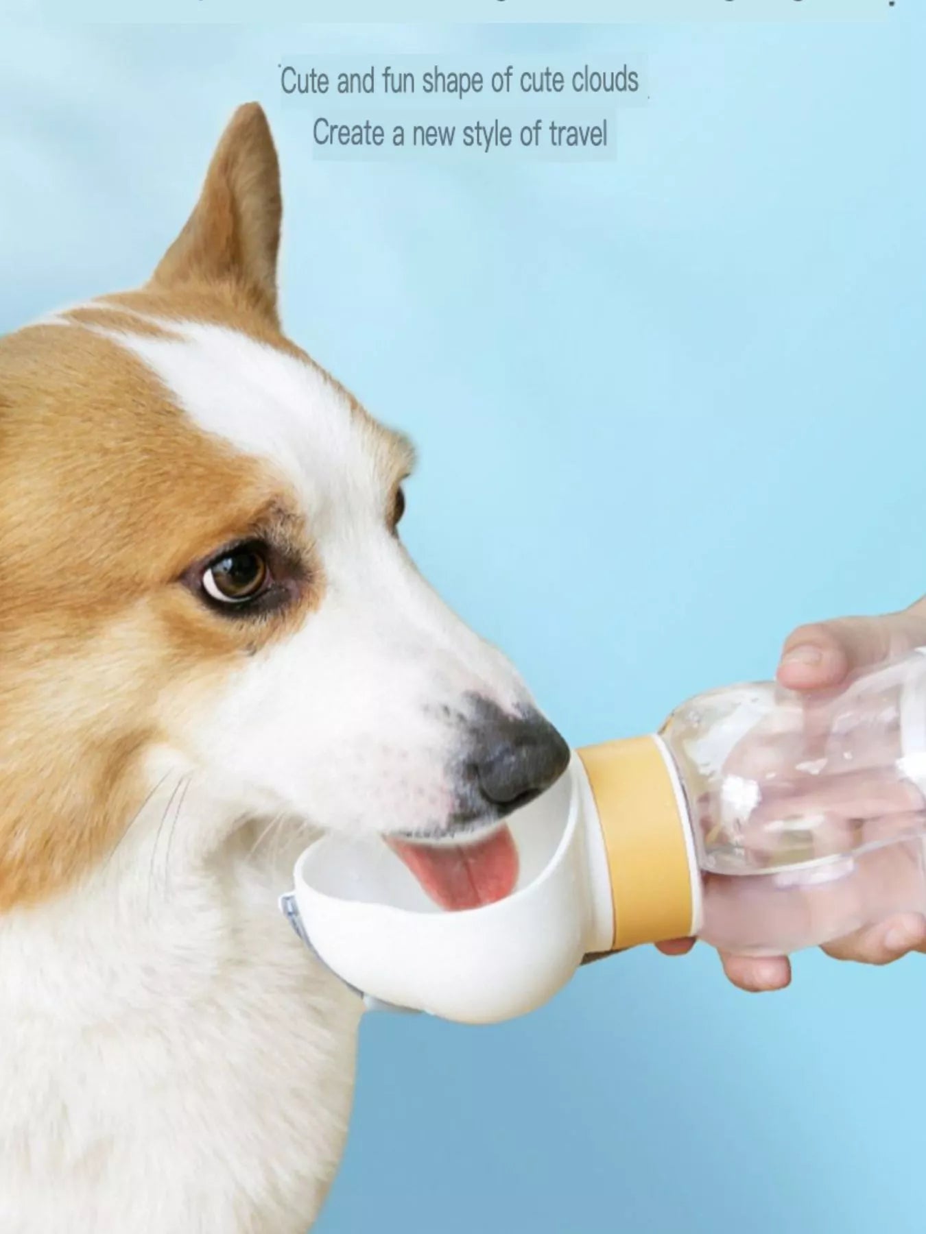 Portable 2 - in - 1 Pet Water and Food Bowl - Loving It Shop