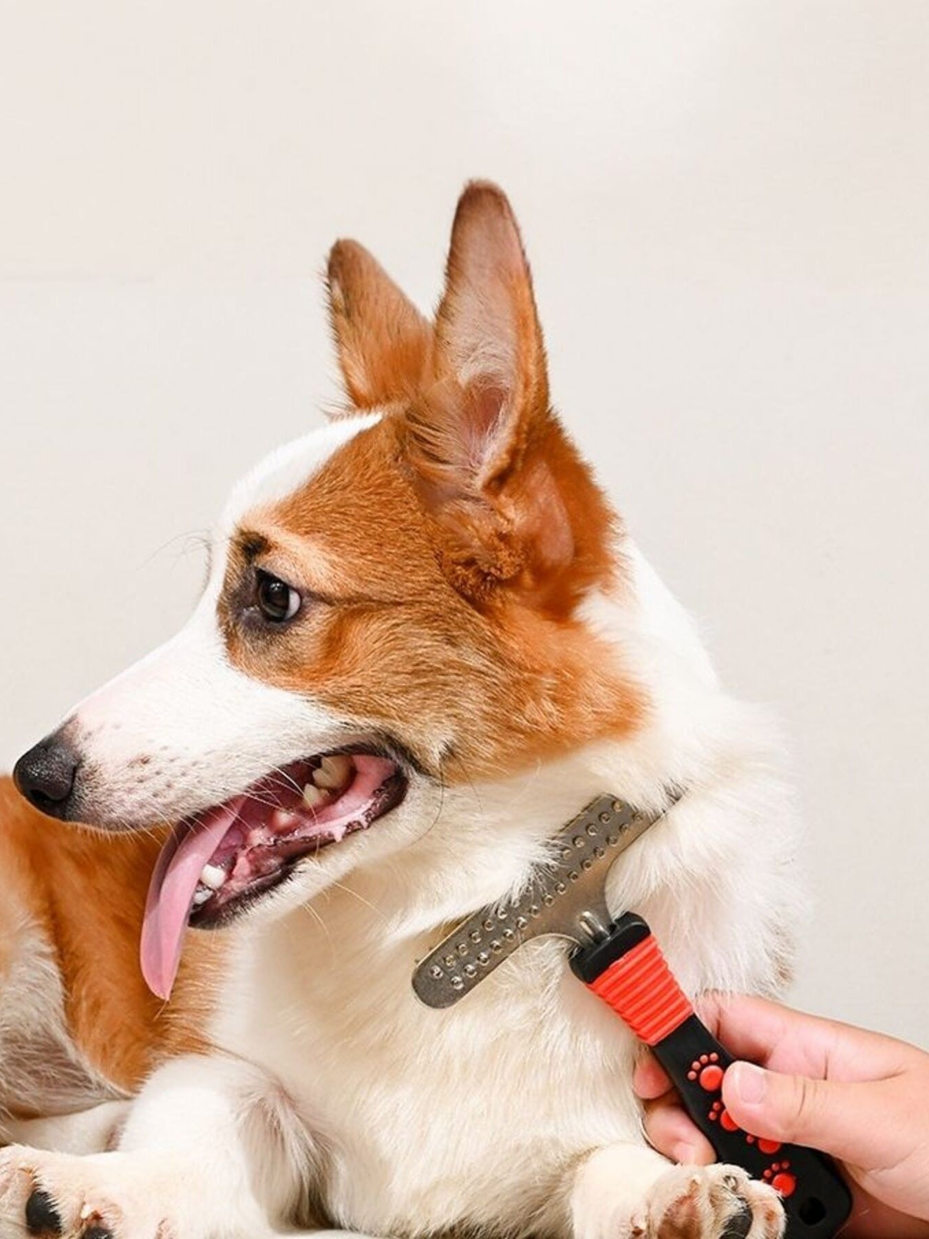 Portable Pet Hair Remover Comb - Loving It Shop