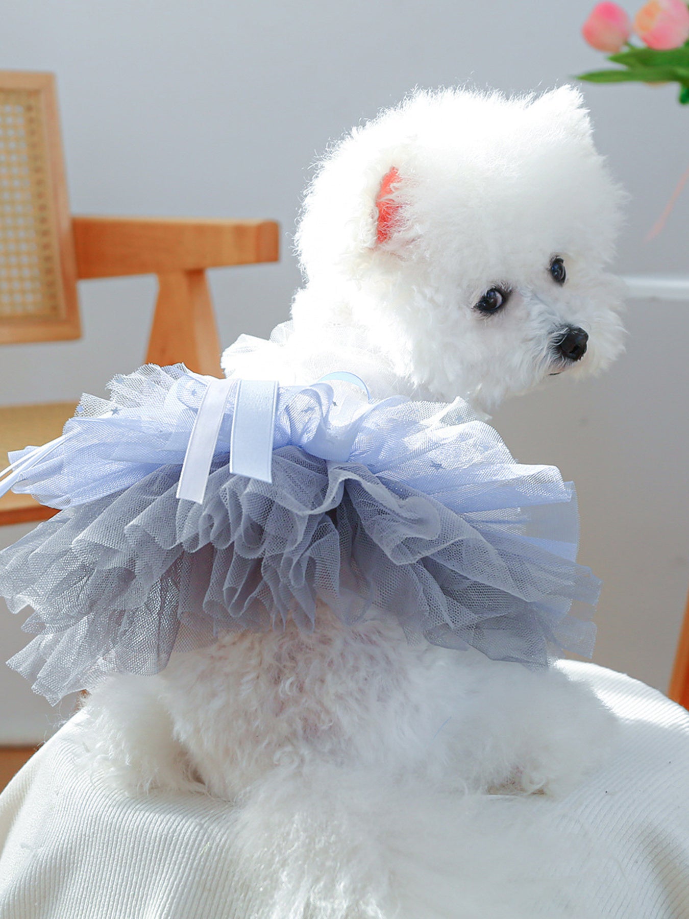 Lace Tutu Pet Dress - Loving It Shop