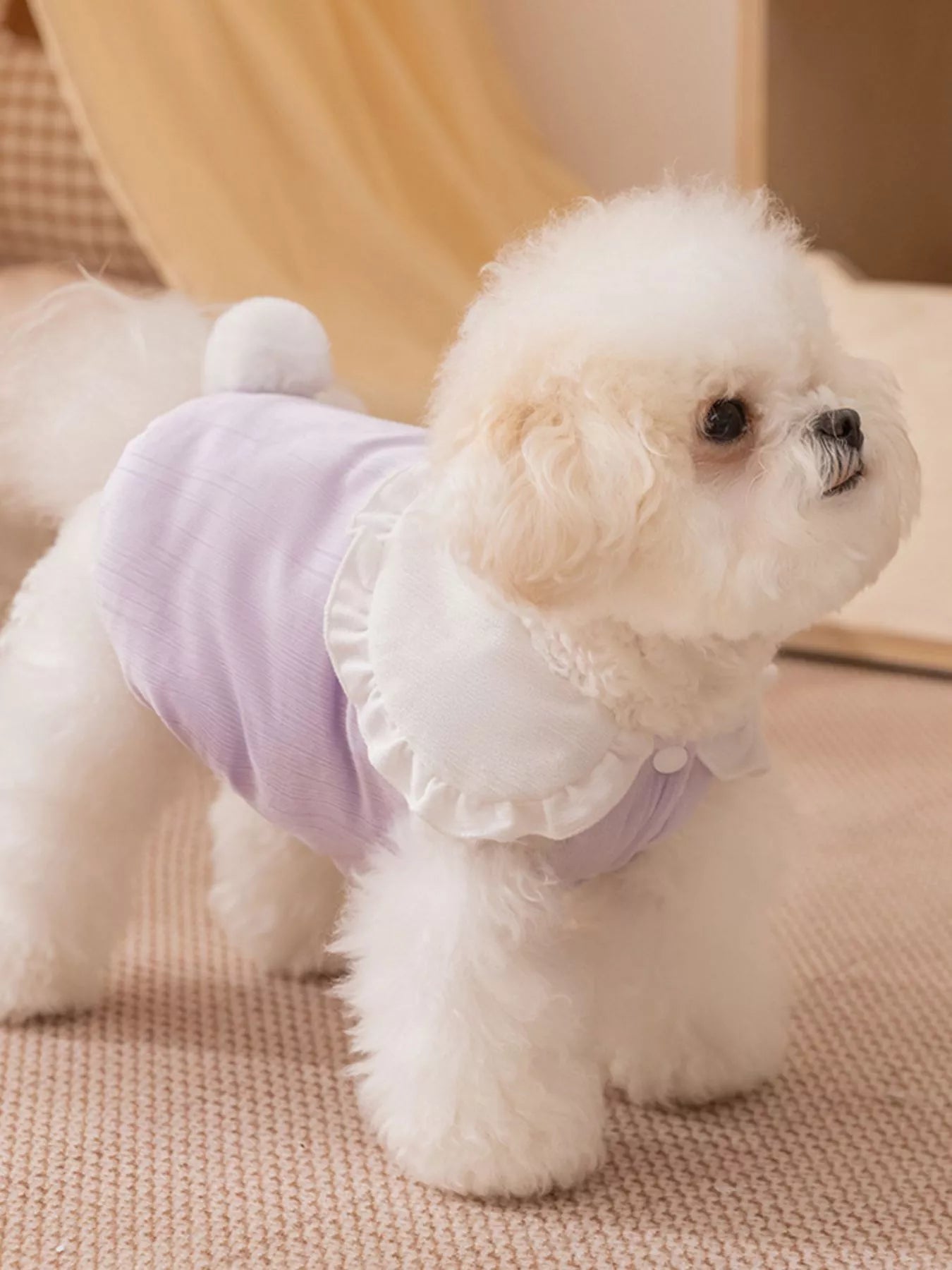 Button - Down Pet Jumpsuit with Ruffle Collar - Loving It Shop