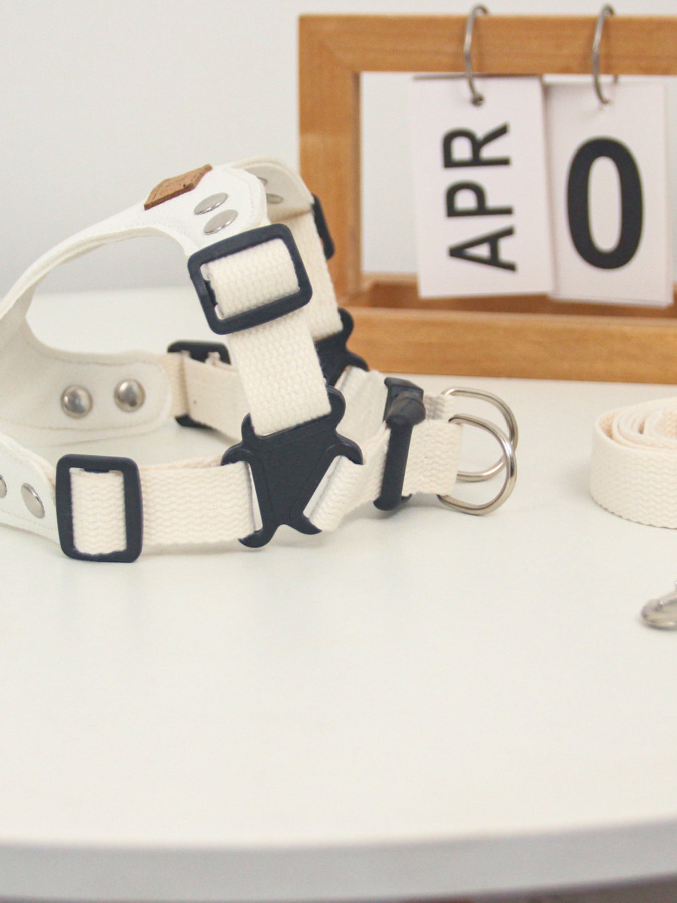 Rivet - Decorated Dog Harness Leash Set - Loving It Shop