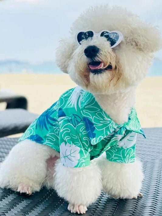 Lightweight Pet Top - Loving It Shop