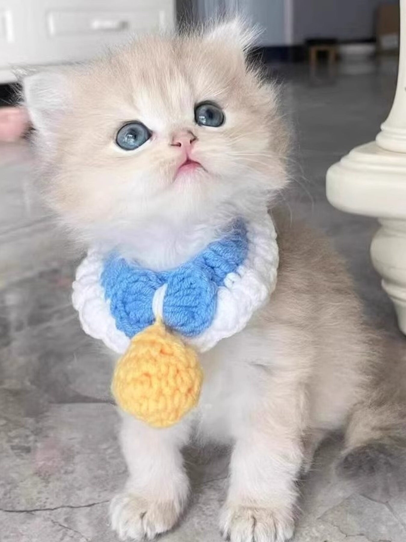 Crochet Pet Collars with Bell - Loving It Shop