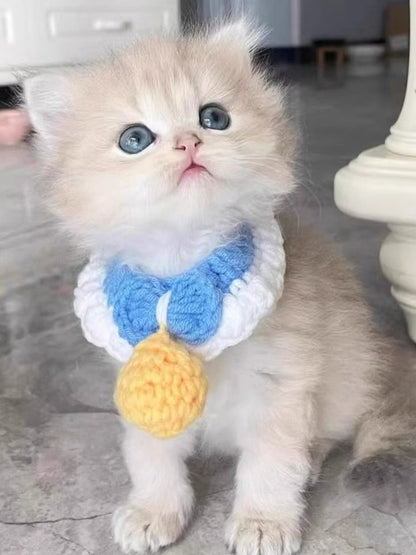 Crochet Pet Collars with Bell - Loving It Shop