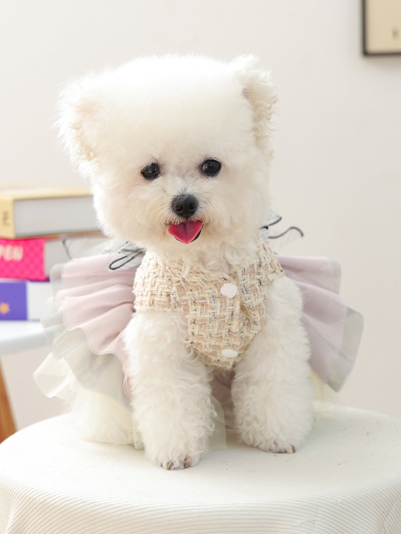 Tweed Pet Dress with Ruffle - Loving It Shop