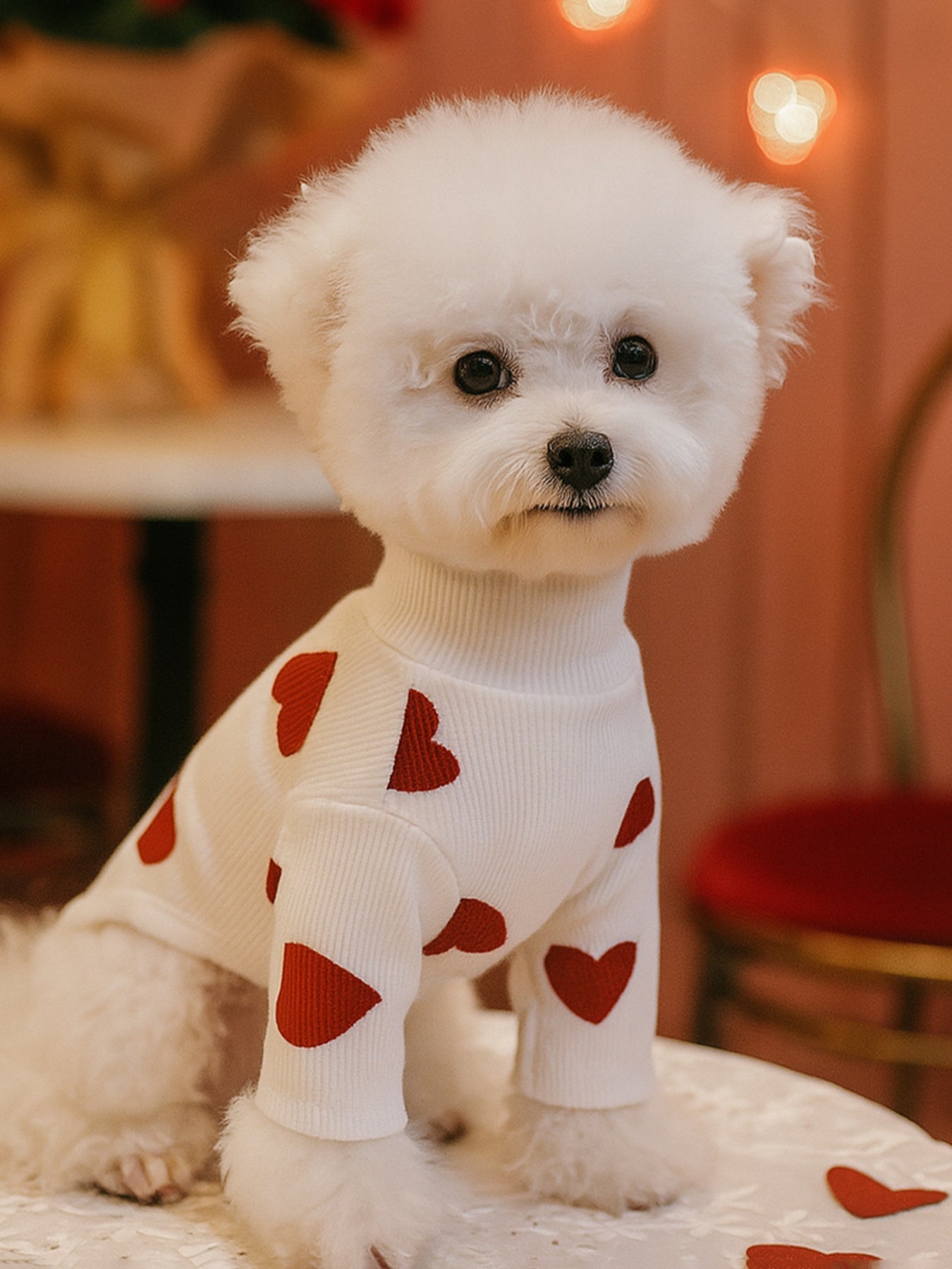 Heart Pattern Pet Sweater - Loving It Shop