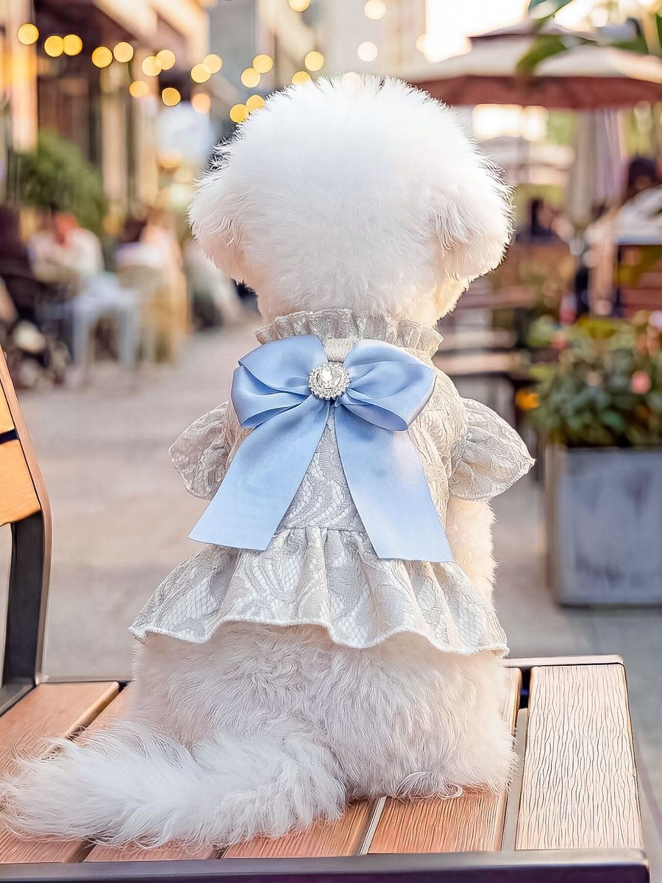 Ruffled Pet Dress with Bow - Loving It Shop