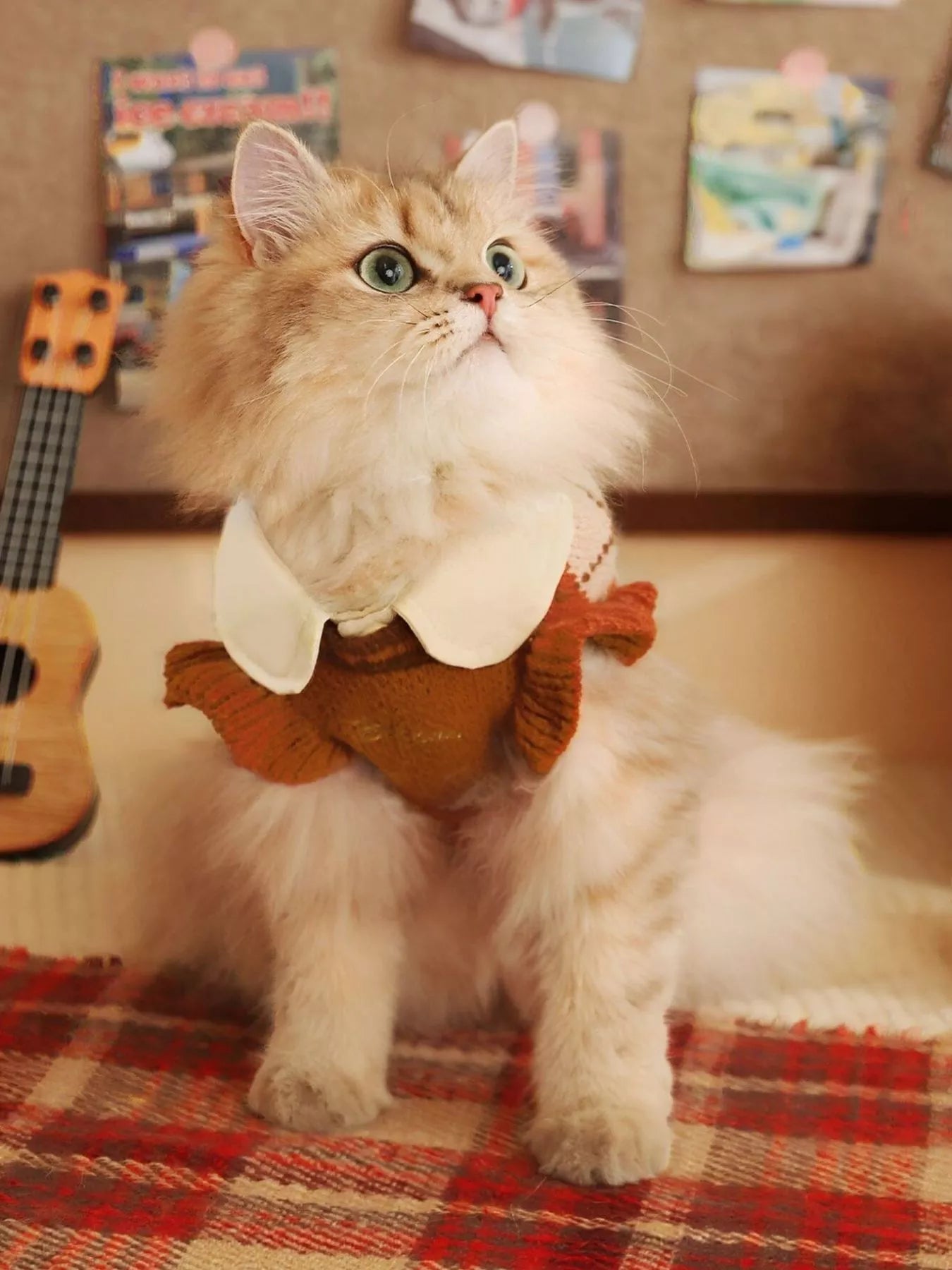 Argyle Pattern Pet Sweater - Loving It Shop