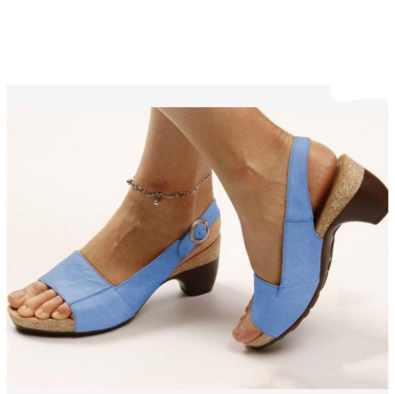 European And American Large Size Women&