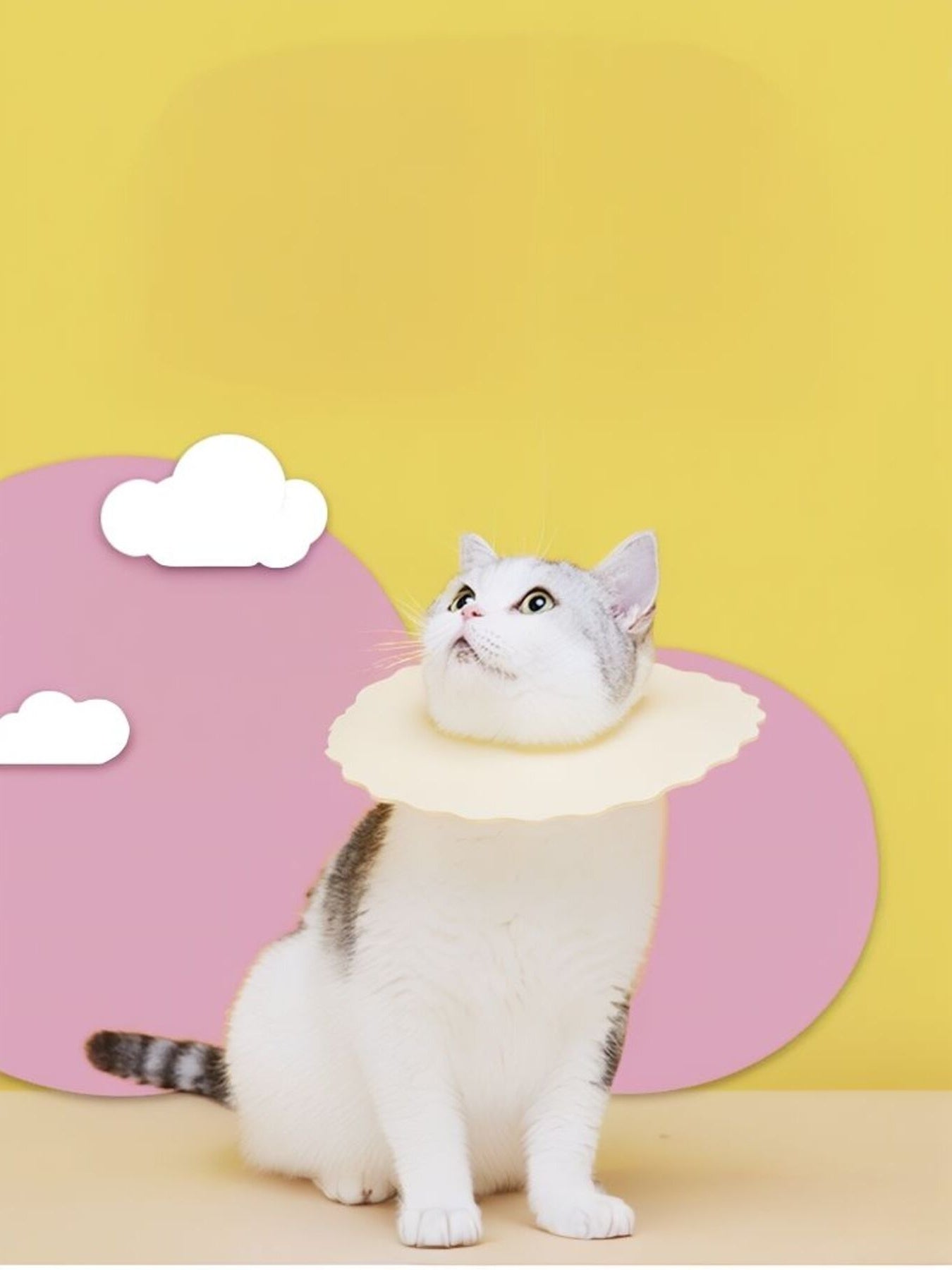 Soft Edge Pet Collar - Loving It Shop