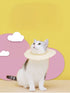 Soft Edge Pet Collar - Loving It Shop
