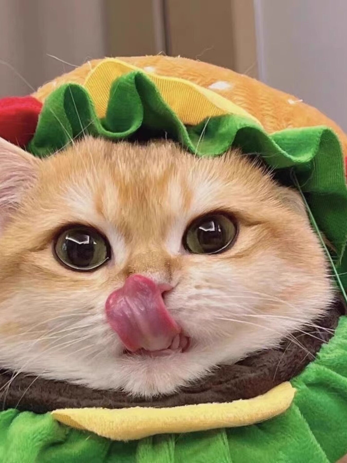 Hamburger Style Pet Headwear - Loving It Shop