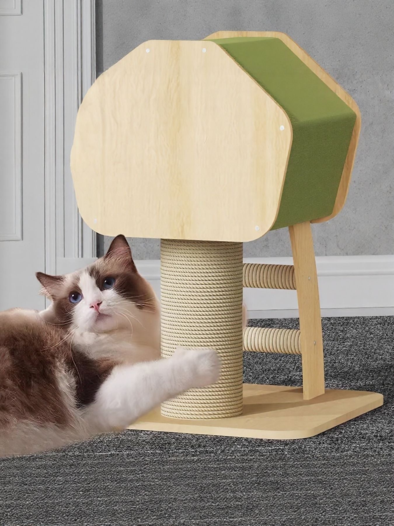 Modern Wooden Cat Condo with Scratching Post - Loving It Shop