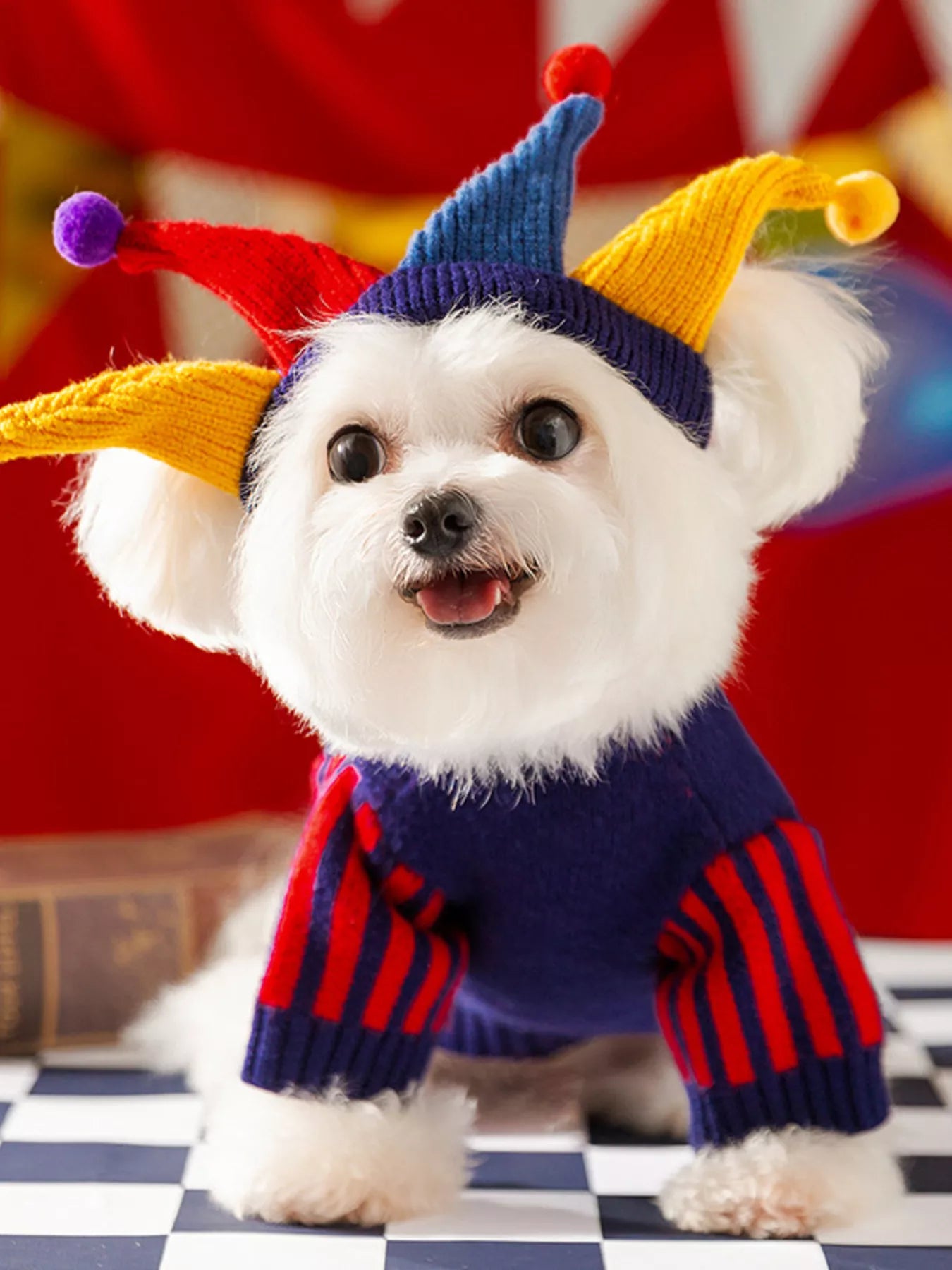 Ribbed Knit Pet Sweaters - Loving It Shop