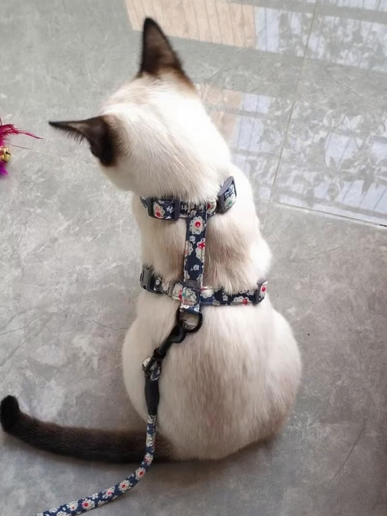 Escape Proof Cat Harness and Leash Set - Loving It Shop