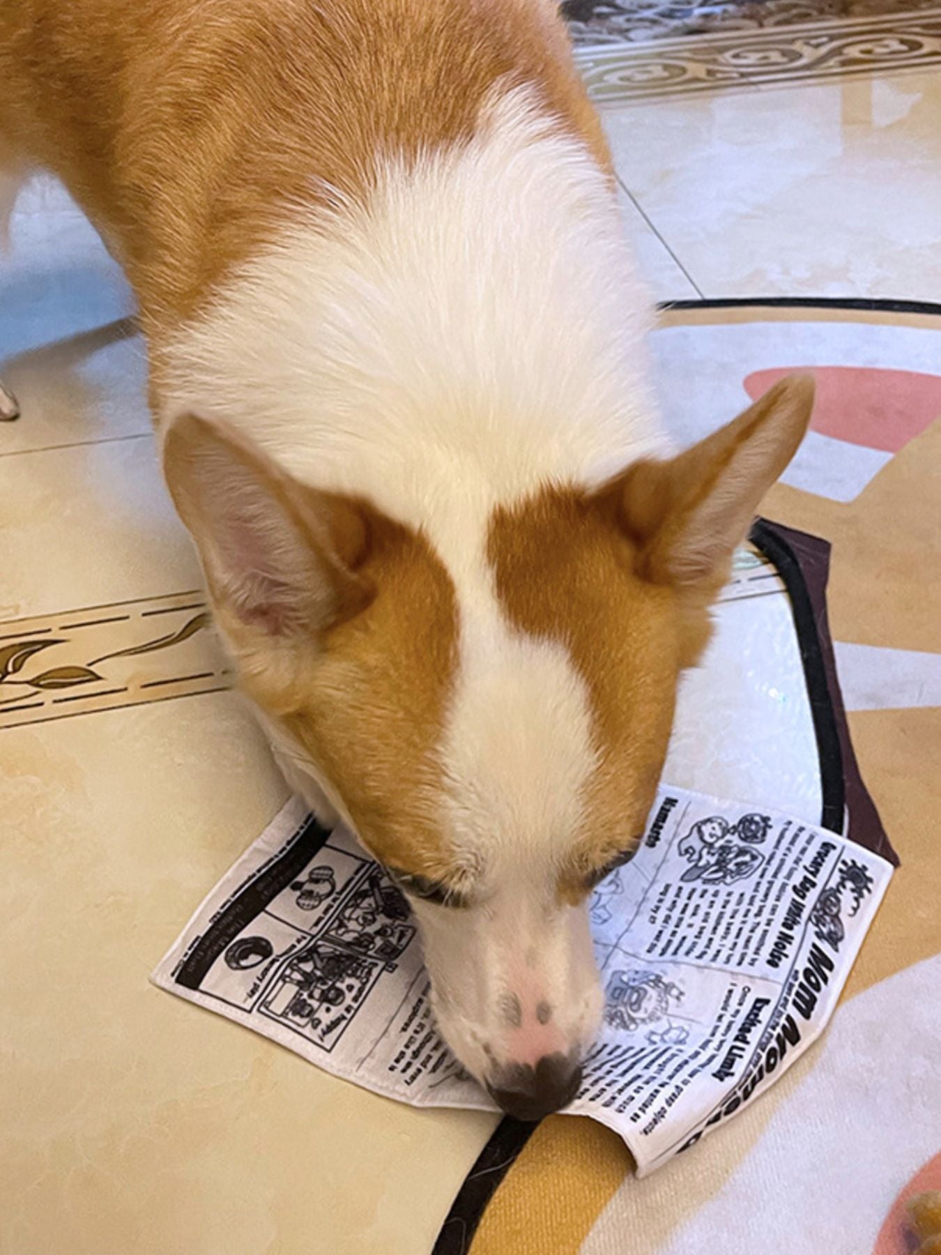 Newspaper Style Pet Sound Toy - Loving It Shop