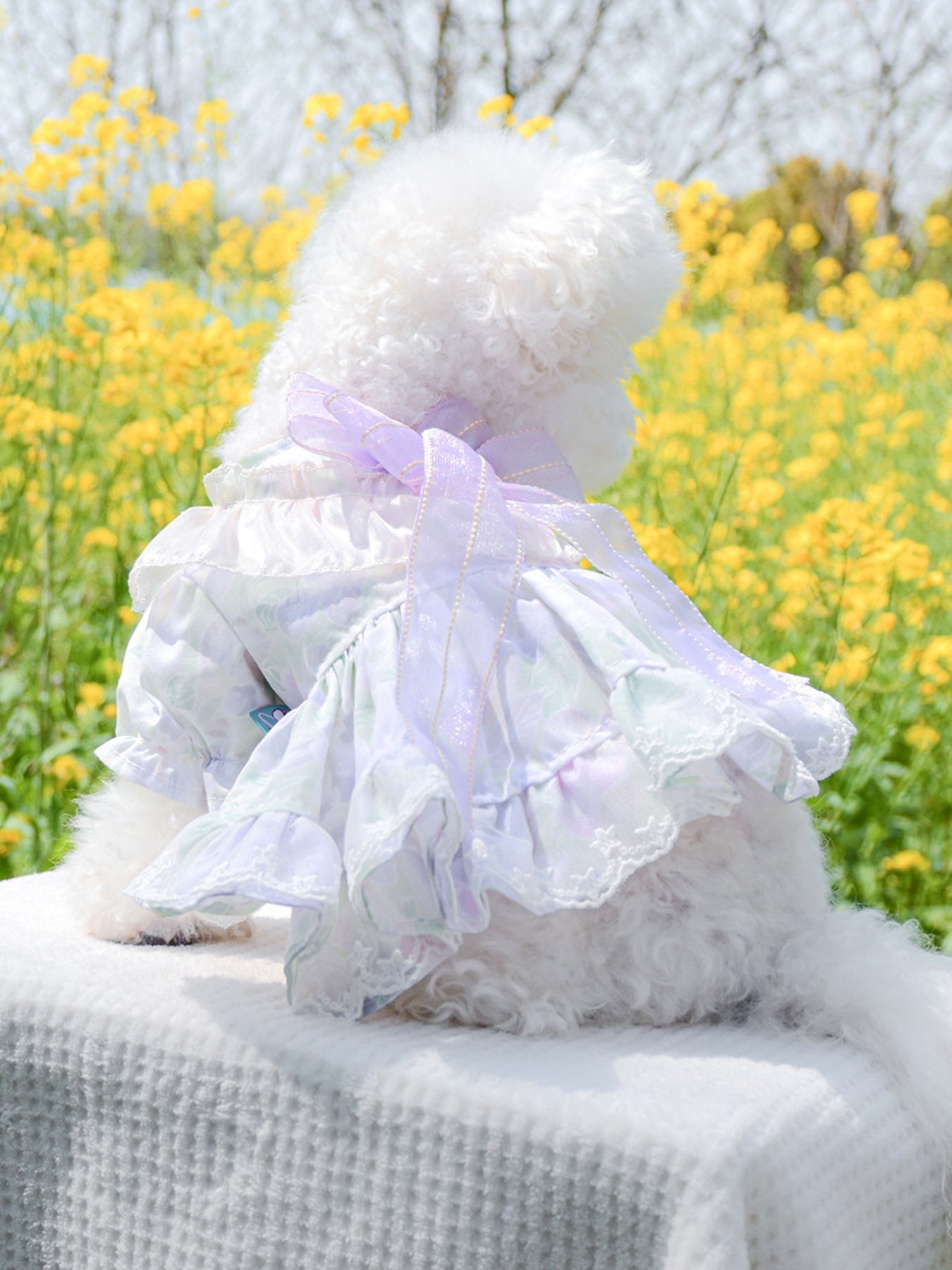 Bow Printed Pet Dress - Loving It Shop