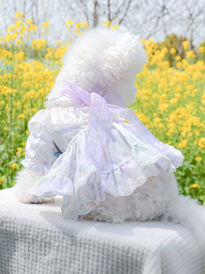 Bow Printed Pet Dress - Loving It Shop