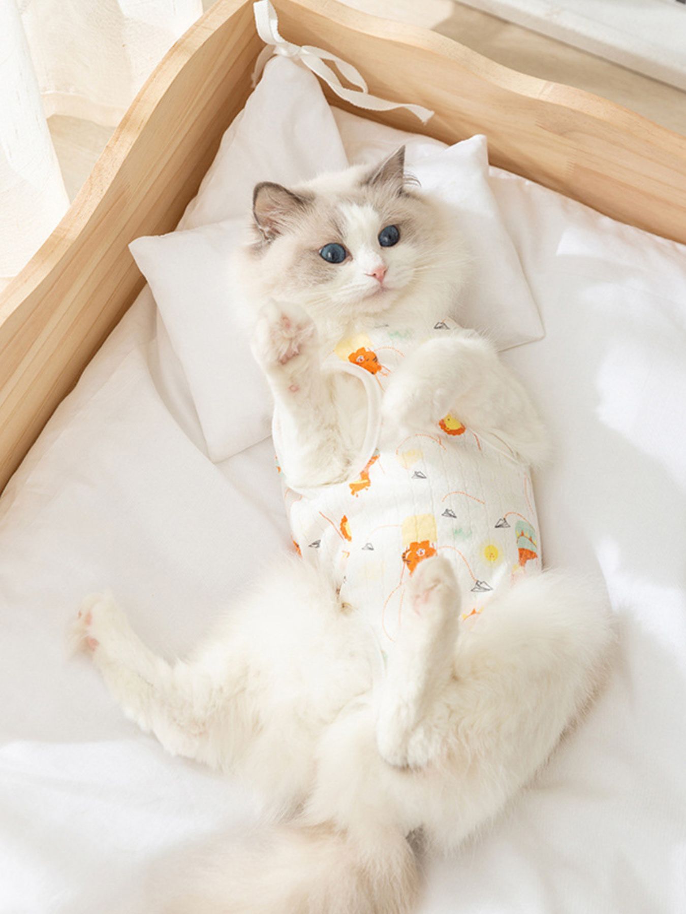 Adjustable Tie Pet Recovery Suit - Loving It Shop