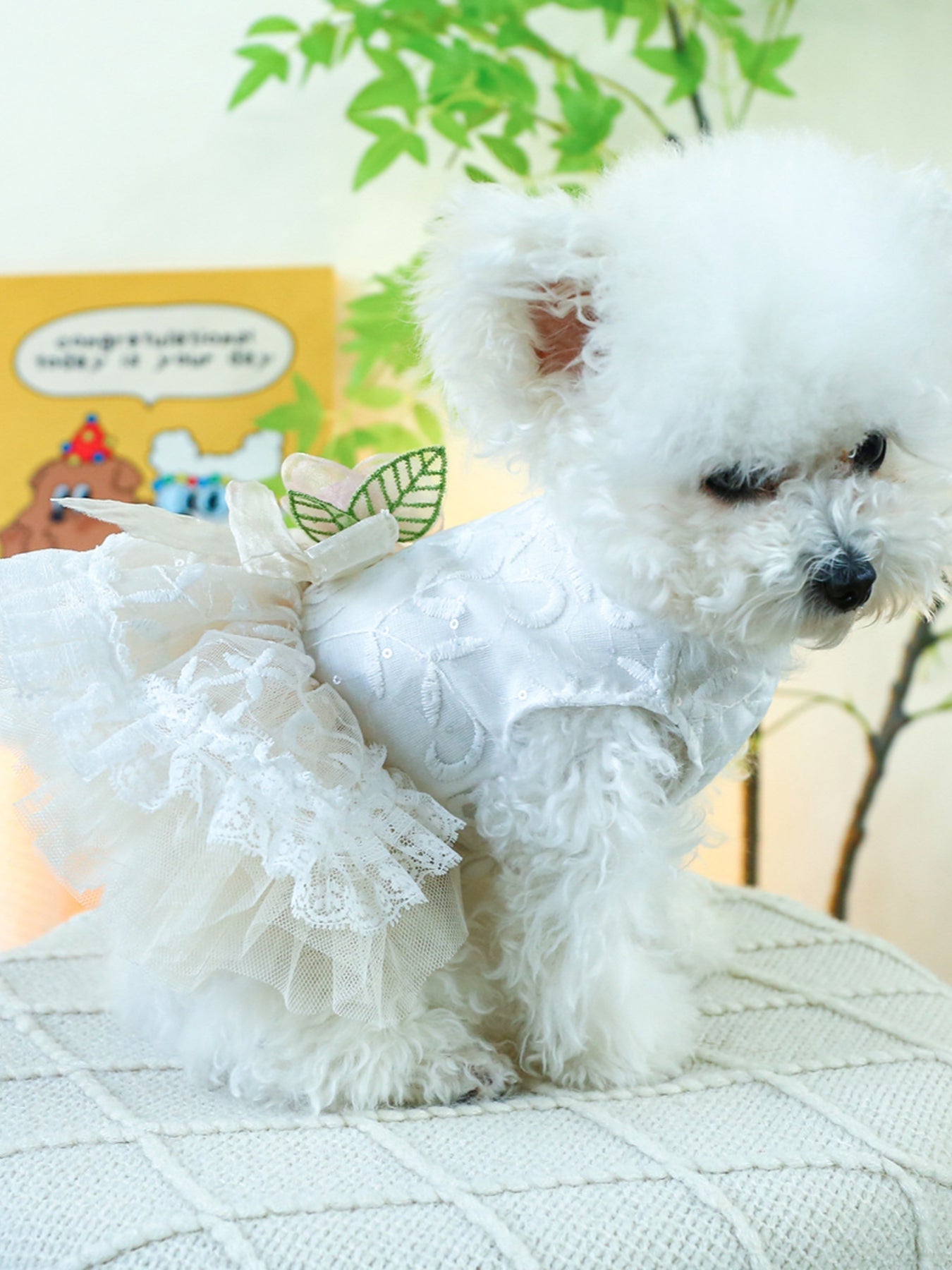 Ruffled Lace Pet Dress - Loving It Shop