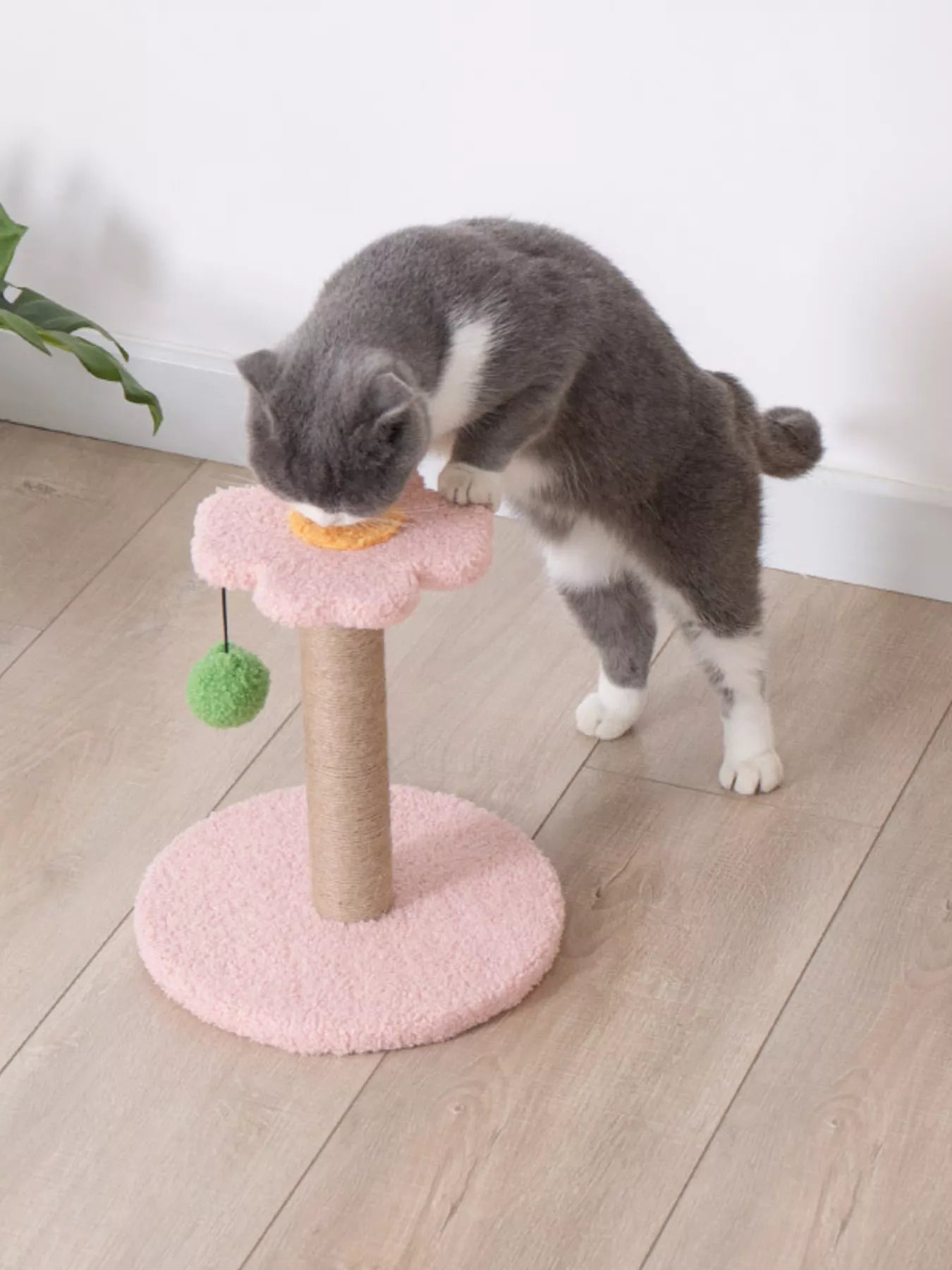 Flower - Shaped Cat Scratching Post with Plush Base - Loving It Shop