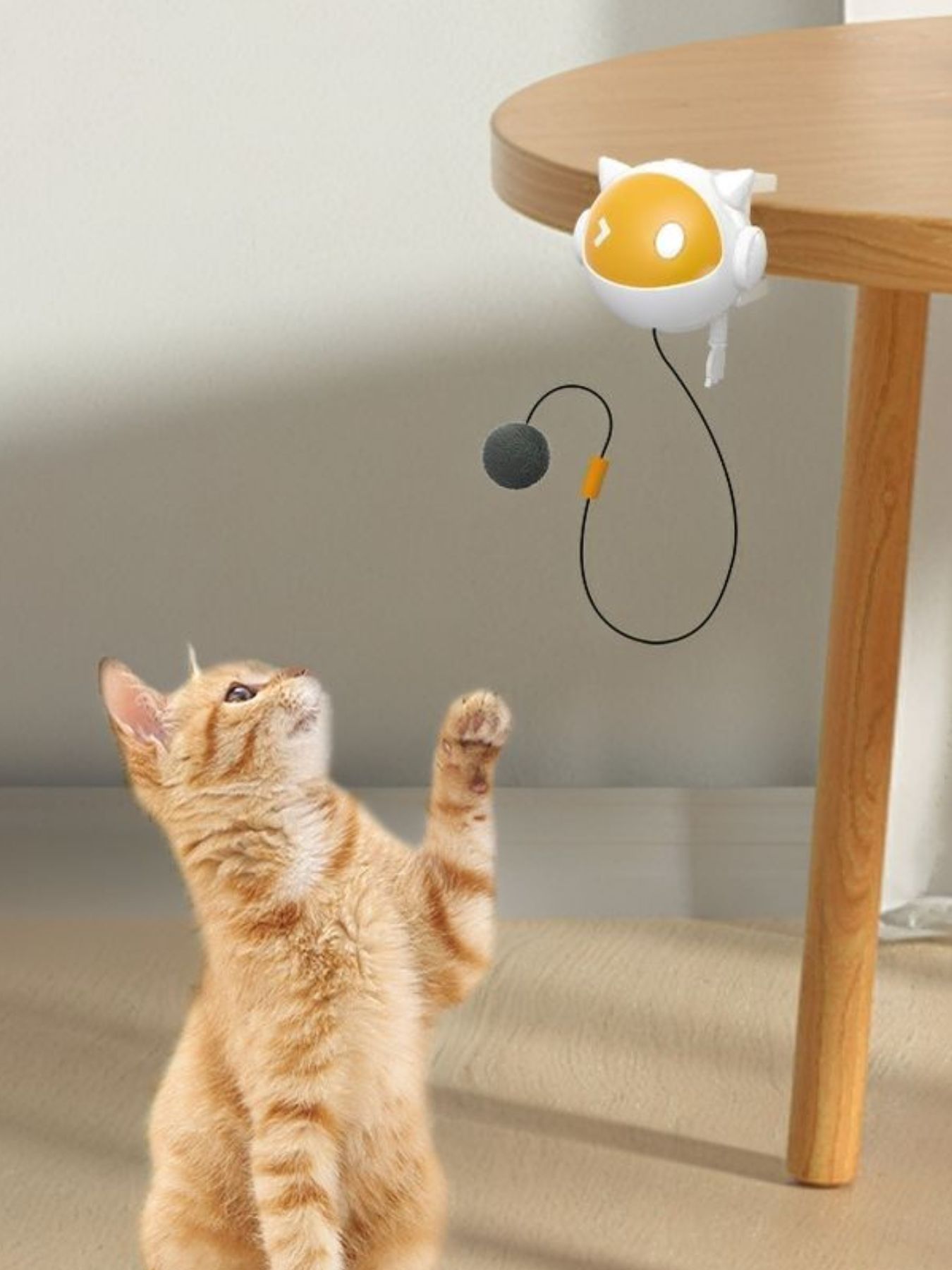 Interactive Hanging Cat Teaser Toy with Ball - Loving It Shop