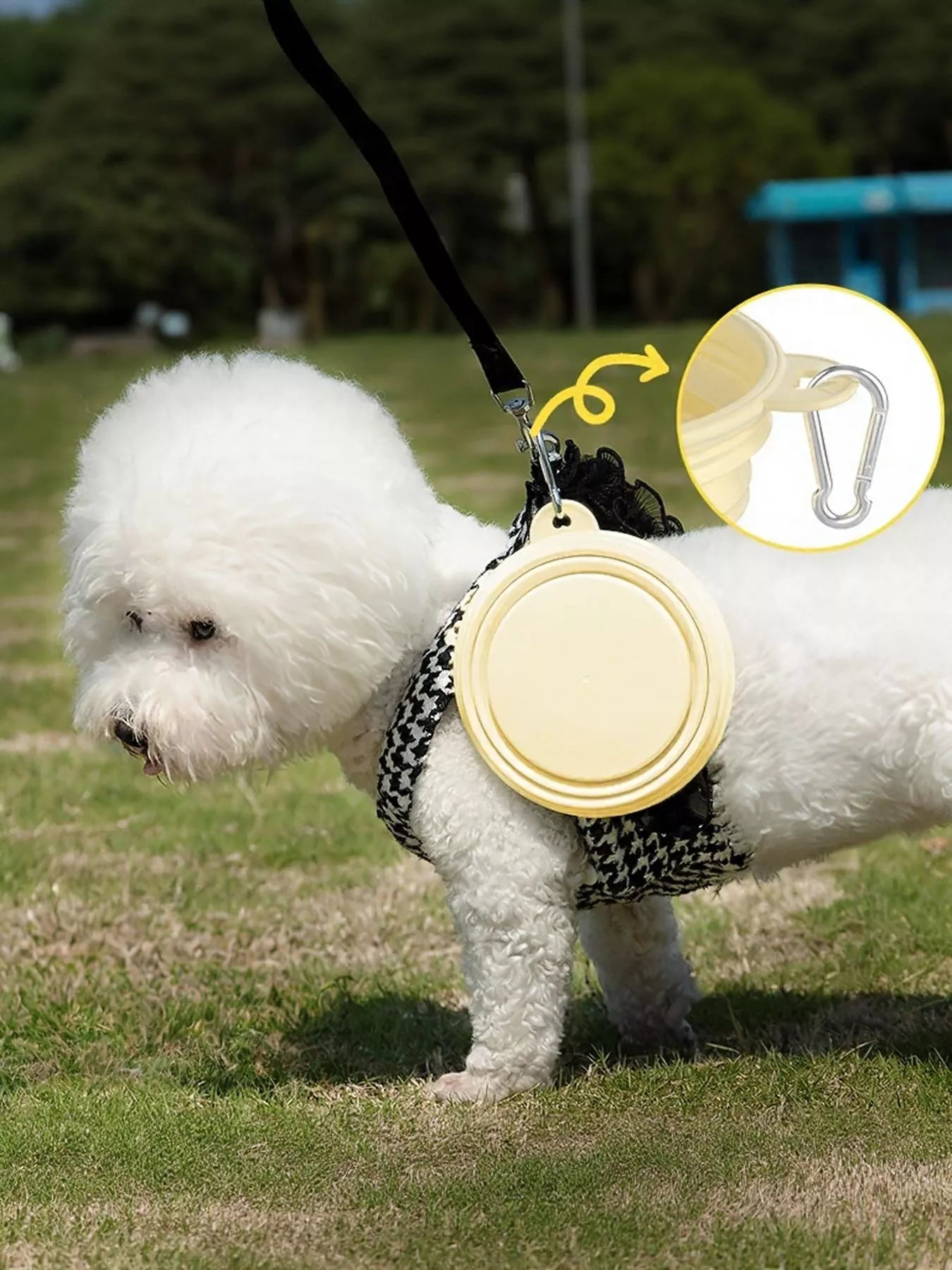 Portable Collapsible Pet Bowls - Loving It Shop