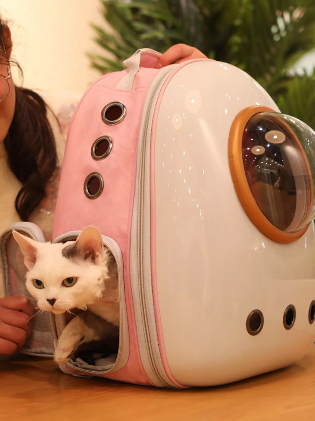Space Capsule Transparent Pet Carrier Backpack - Loving It Shop