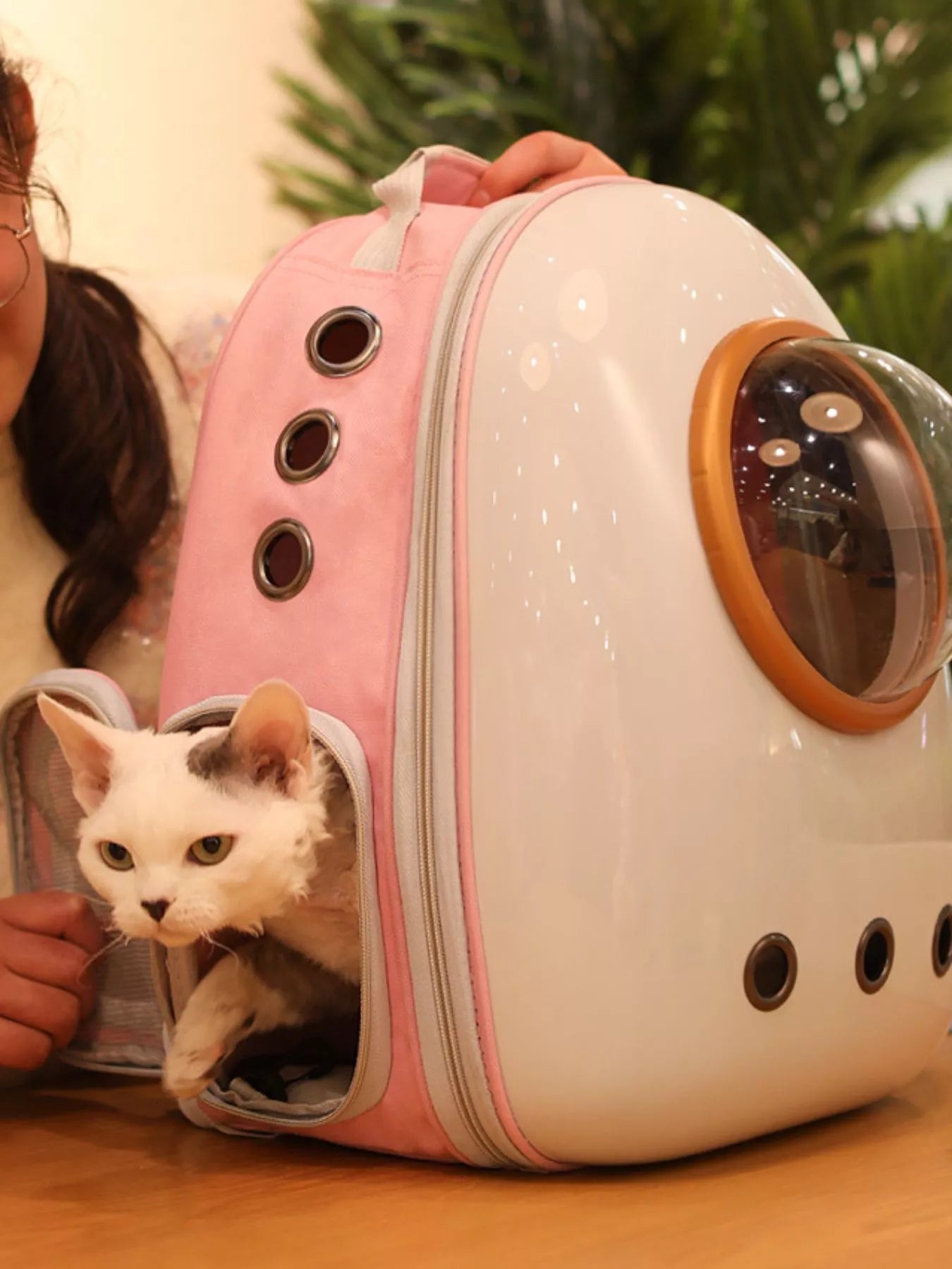 Space Capsule Transparent Pet Carrier Backpack - Loving It Shop