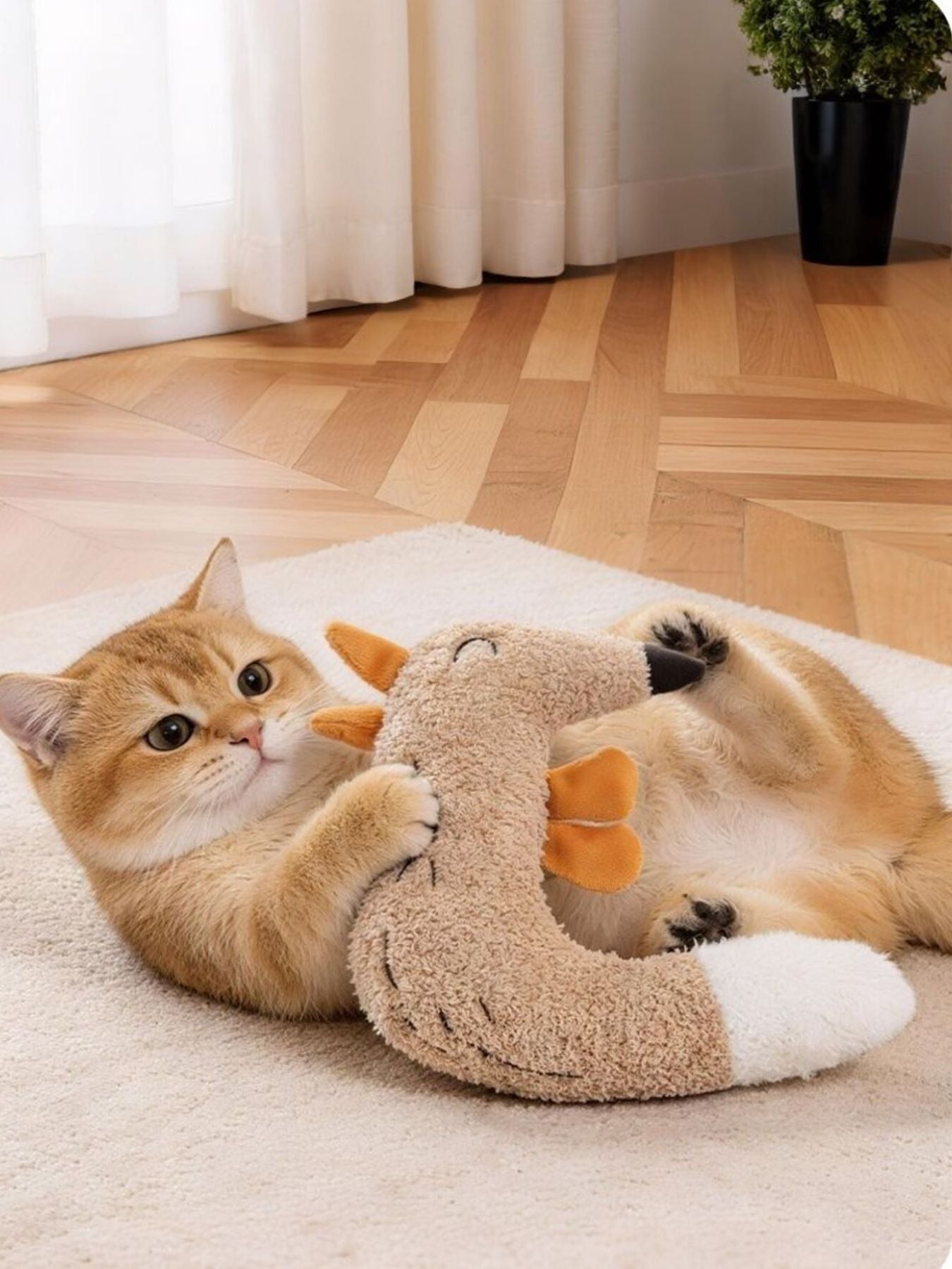Duck & Fox Design Pet Plush Toys - Loving It Shop