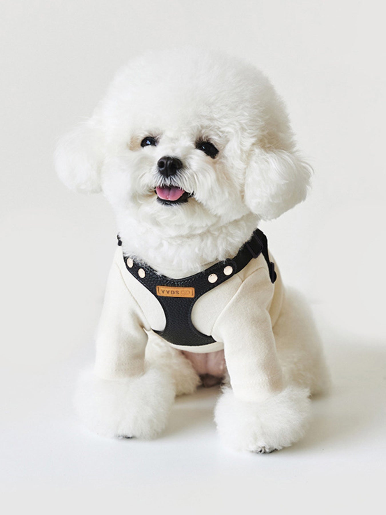 Rivet - Decorated Dog Harness Leash Set - Loving It Shop
