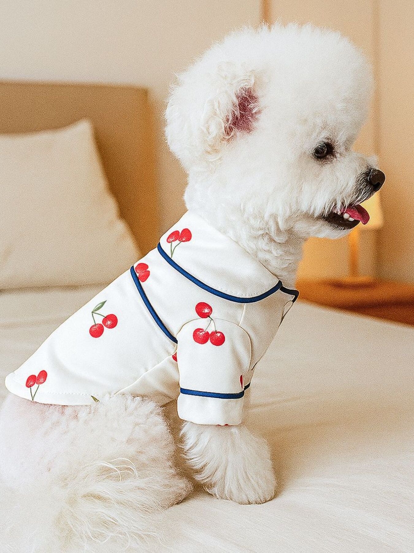 Satin Pet Pajamas with Contrast Piping - Loving It Shop