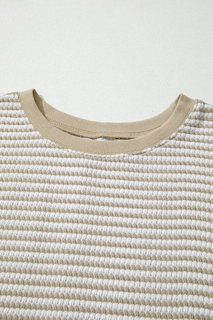 Brown Stripe Plus Size Breathable Knit Ribbed Trim Long Sleeve Top