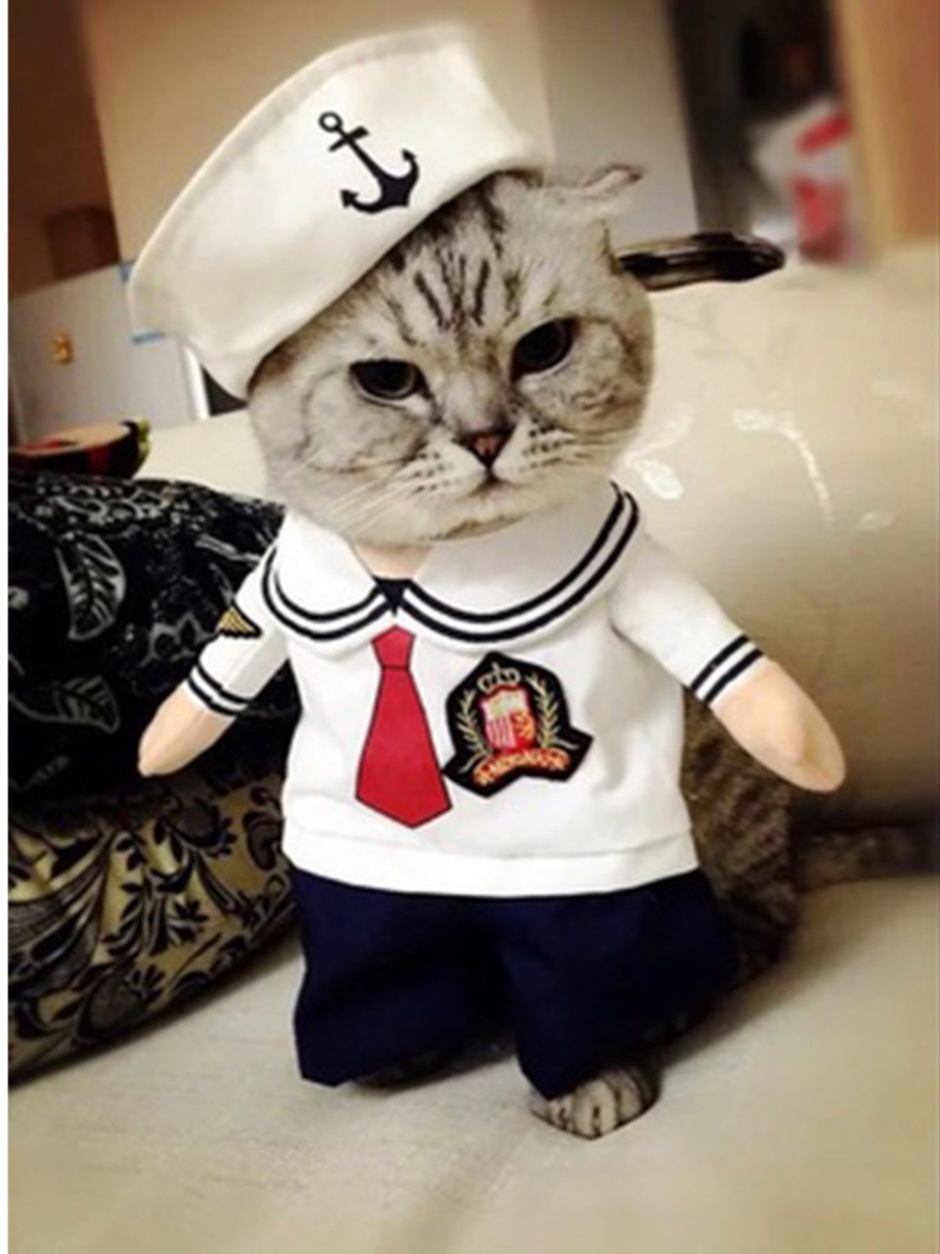 Quirky Pet Jumpsuit - Loving It Shop