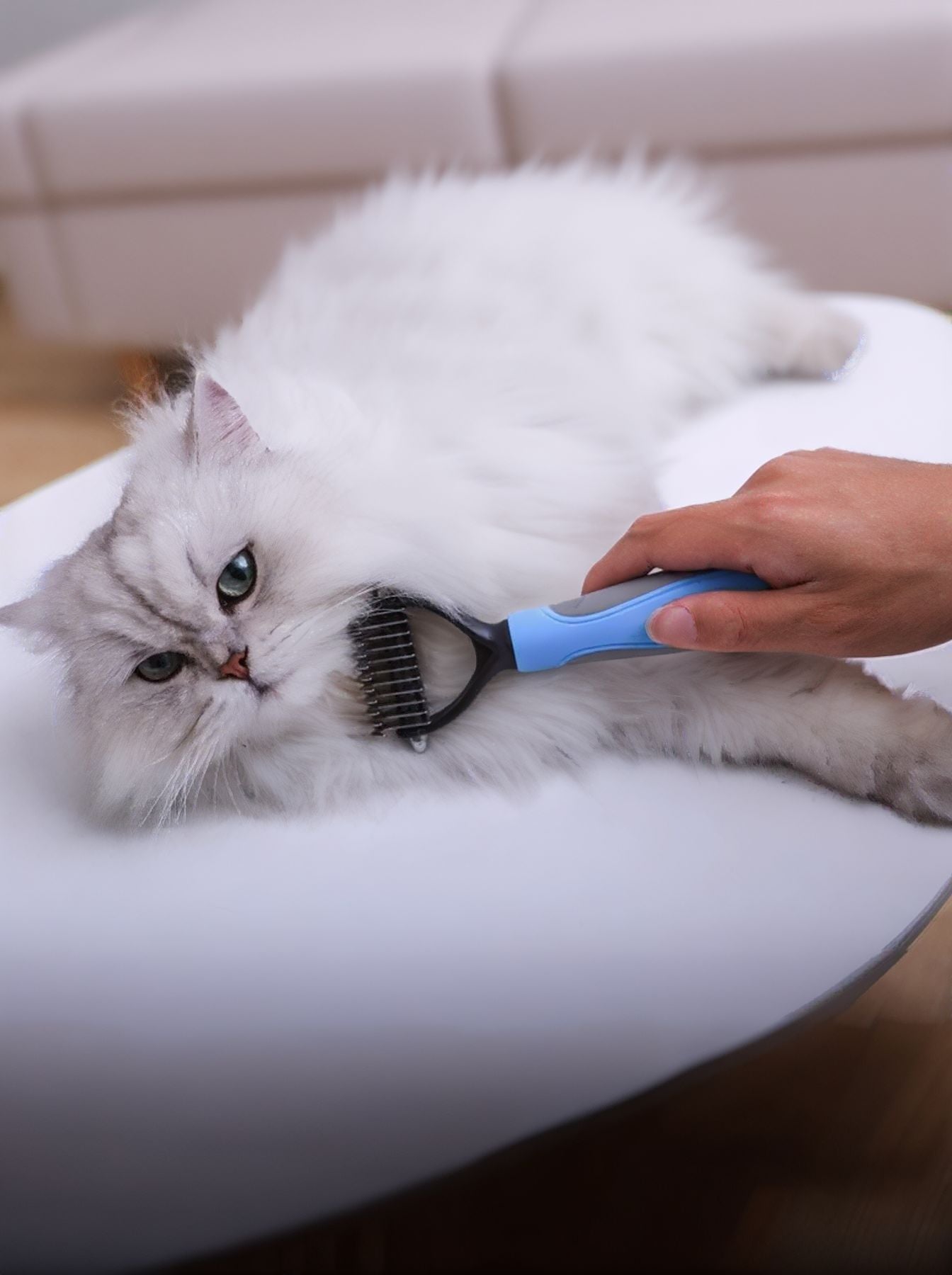 Reduces Shedding Pet Hair Removal Combs - Loving It Shop