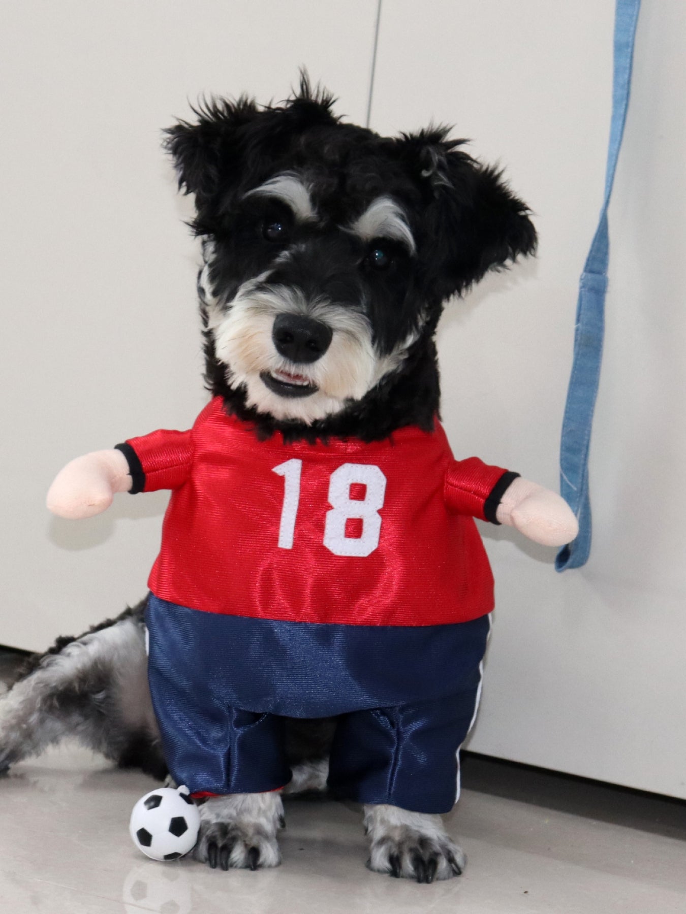 Number Pet Jumpsuit - Loving It Shop