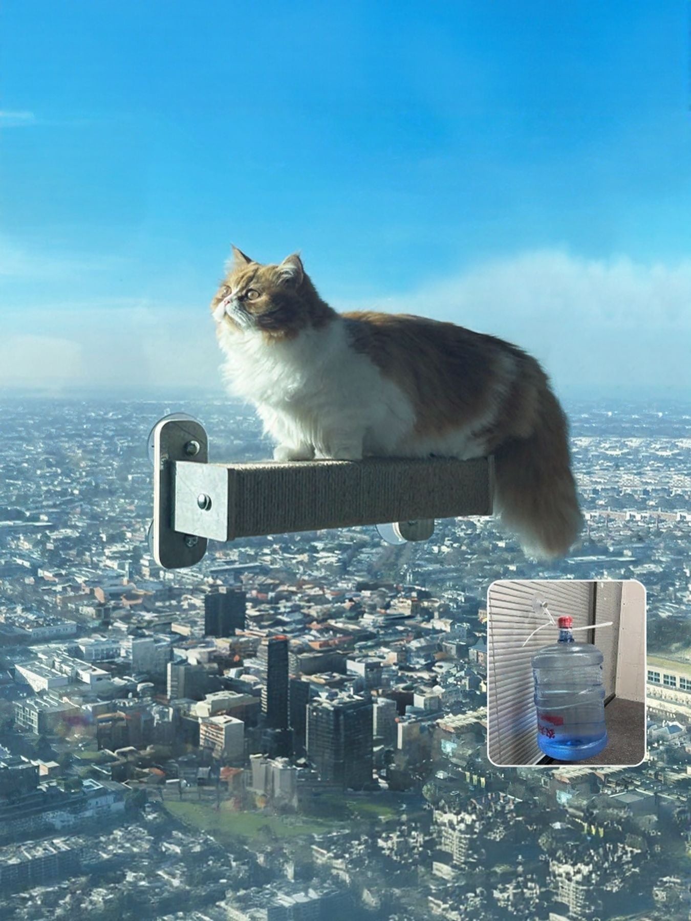 Window Mounted Cat Condos - Loving It Shop