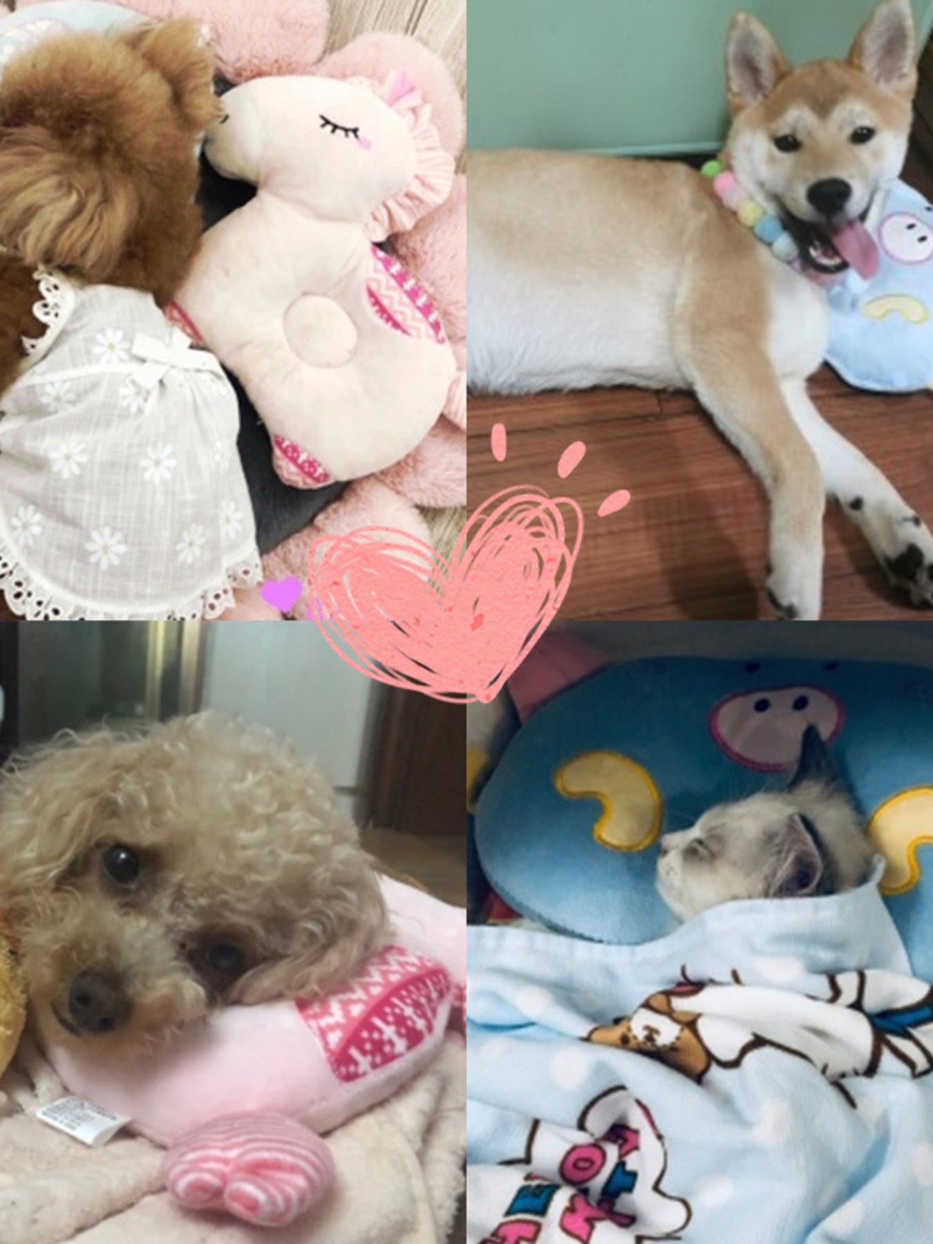 Animal Shaped Head Protection Plush Pillow - Loving It Shop
