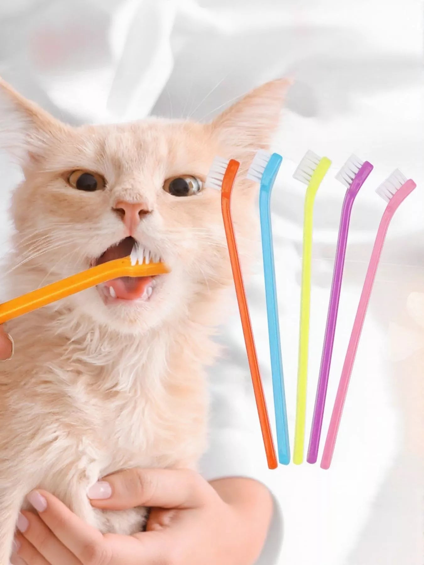 Plastic Pet Toothbrush - Loving It Shop