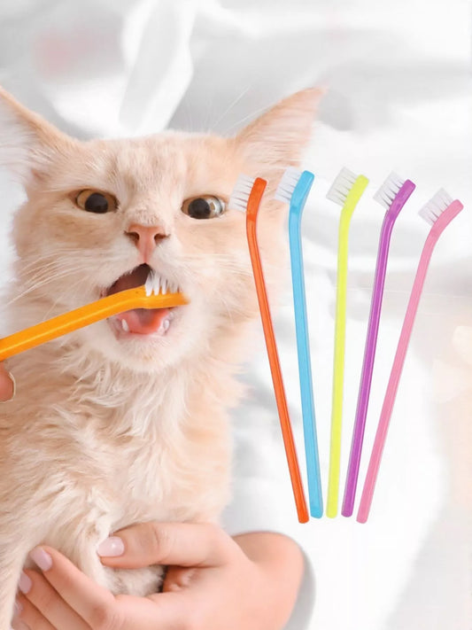Plastic Pet Toothbrush - Loving It Shop