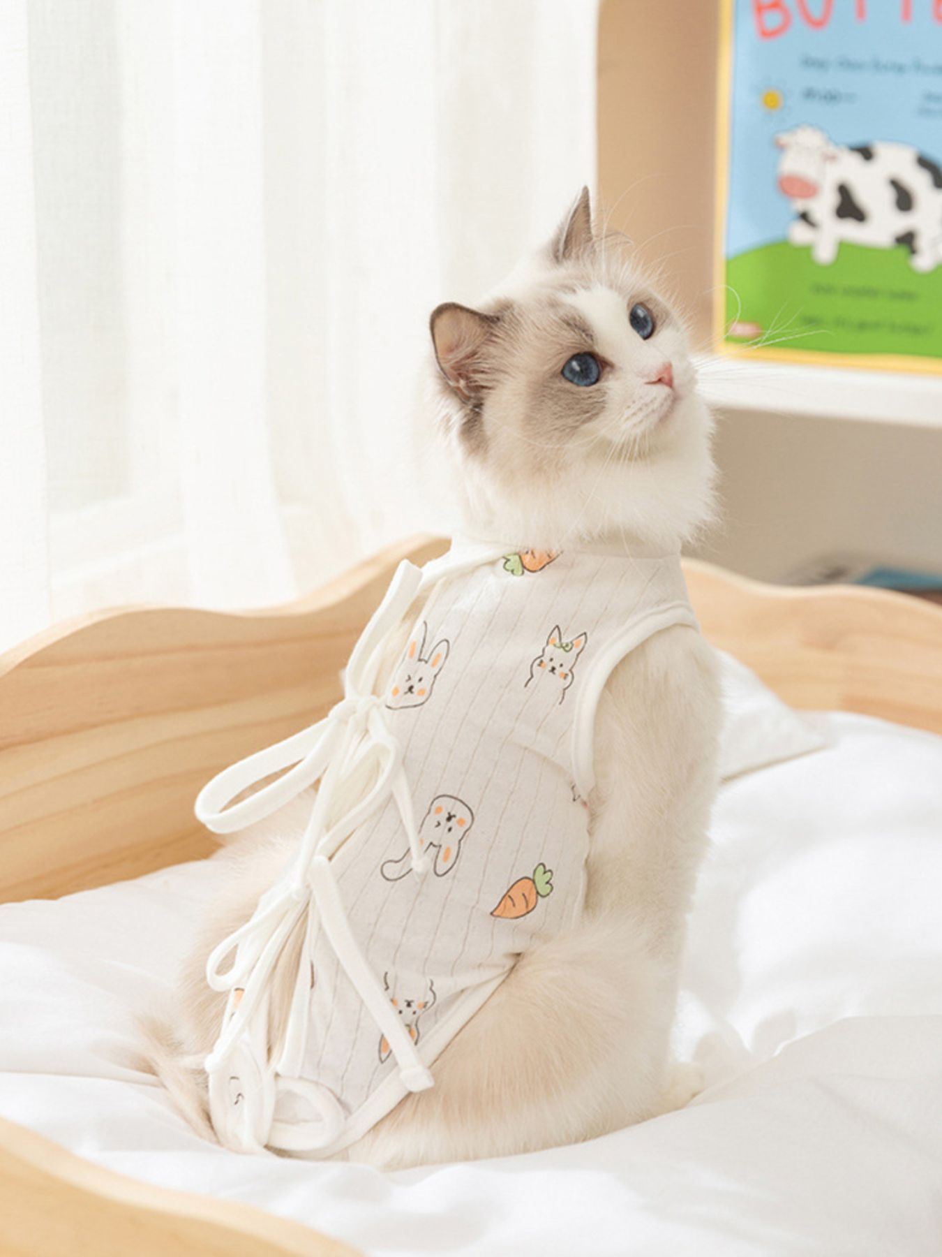 Adjustable Tie Pet Recovery Suit - Loving It Shop